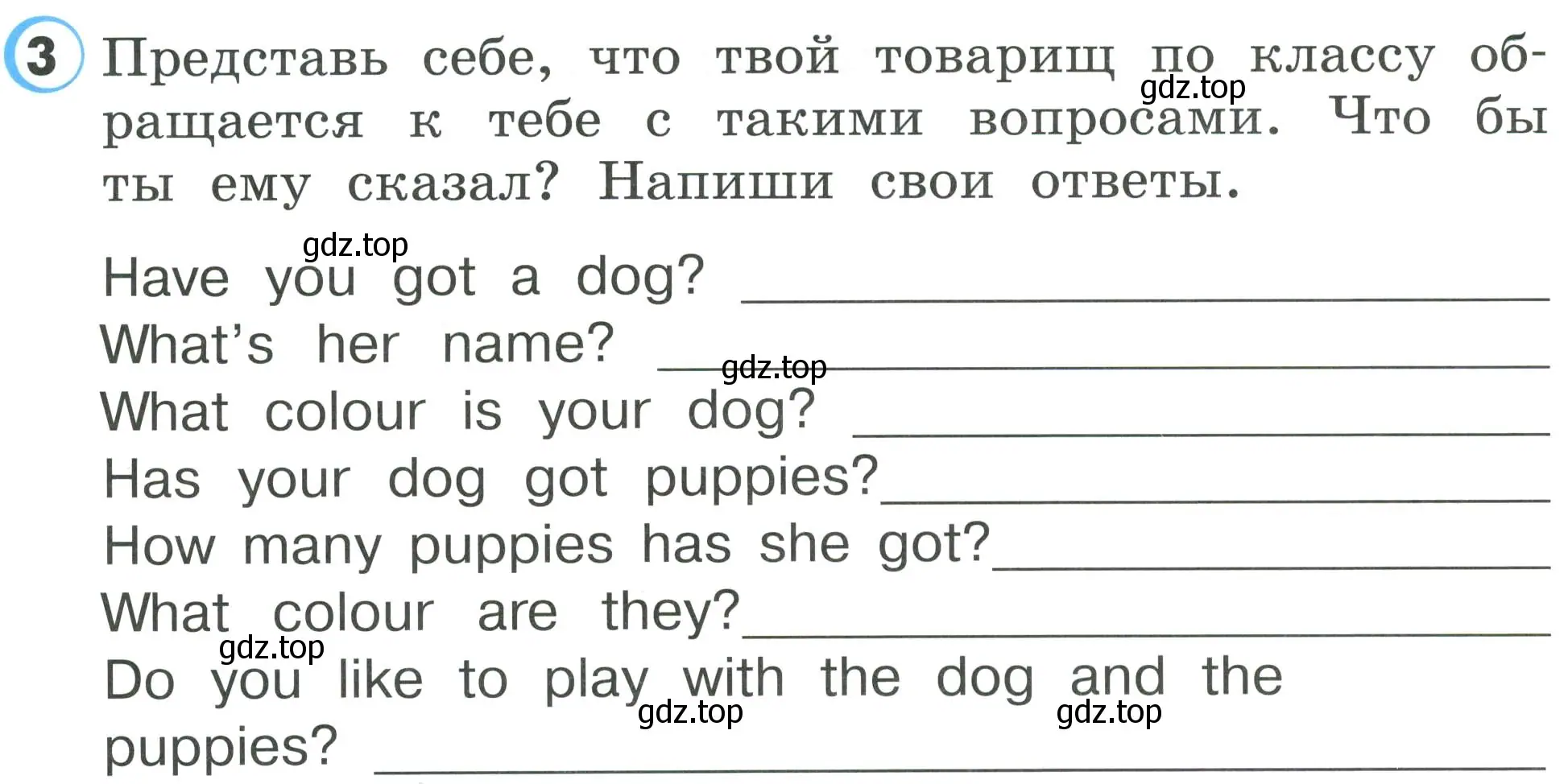 Условие номер 3 (страница 40) гдз по английскому языку 2 класс Верещагина, Бондаренко, рабочая тетрадь