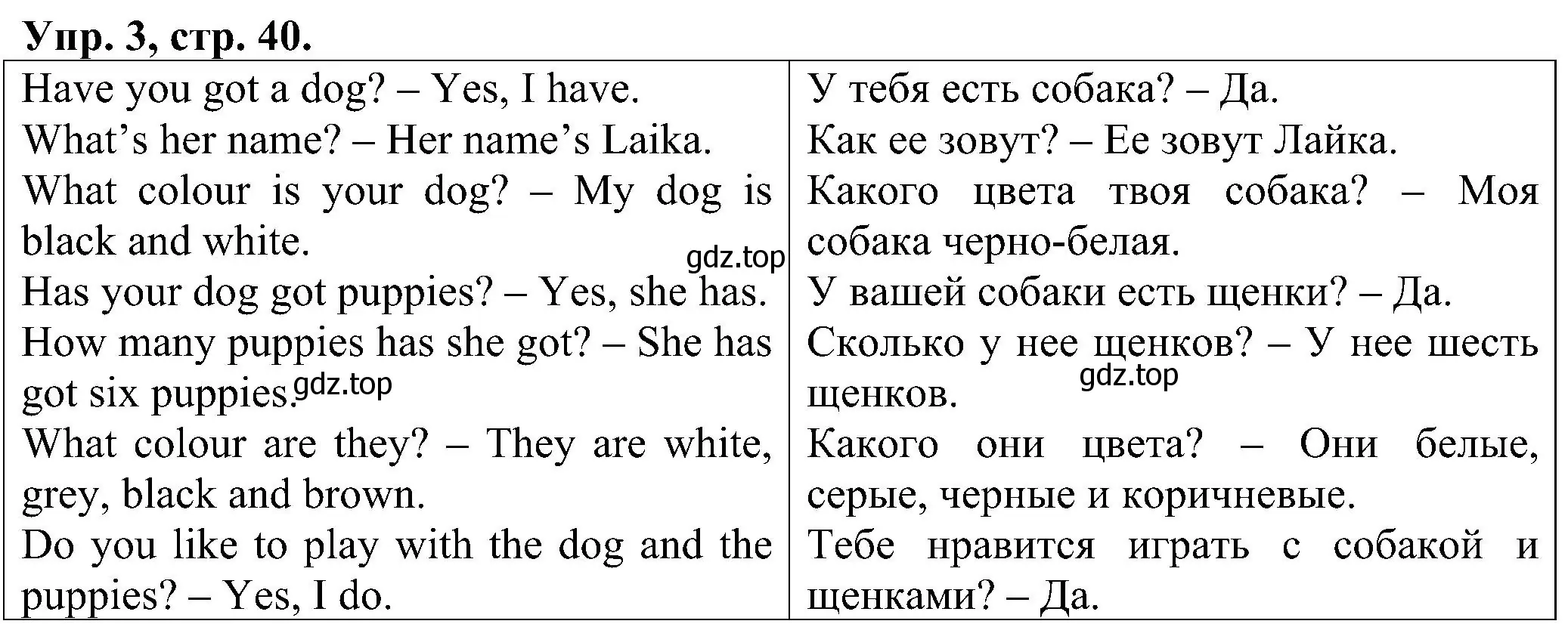 Решение номер 3 (страница 40) гдз по английскому языку 2 класс Верещагина, Бондаренко, рабочая тетрадь