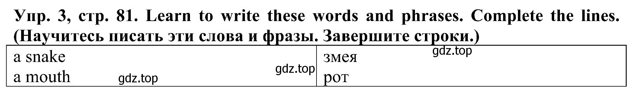 Решение номер 3 (страница 81) гдз по английскому языку 2 класс Верещагина, Бондаренко, рабочая тетрадь