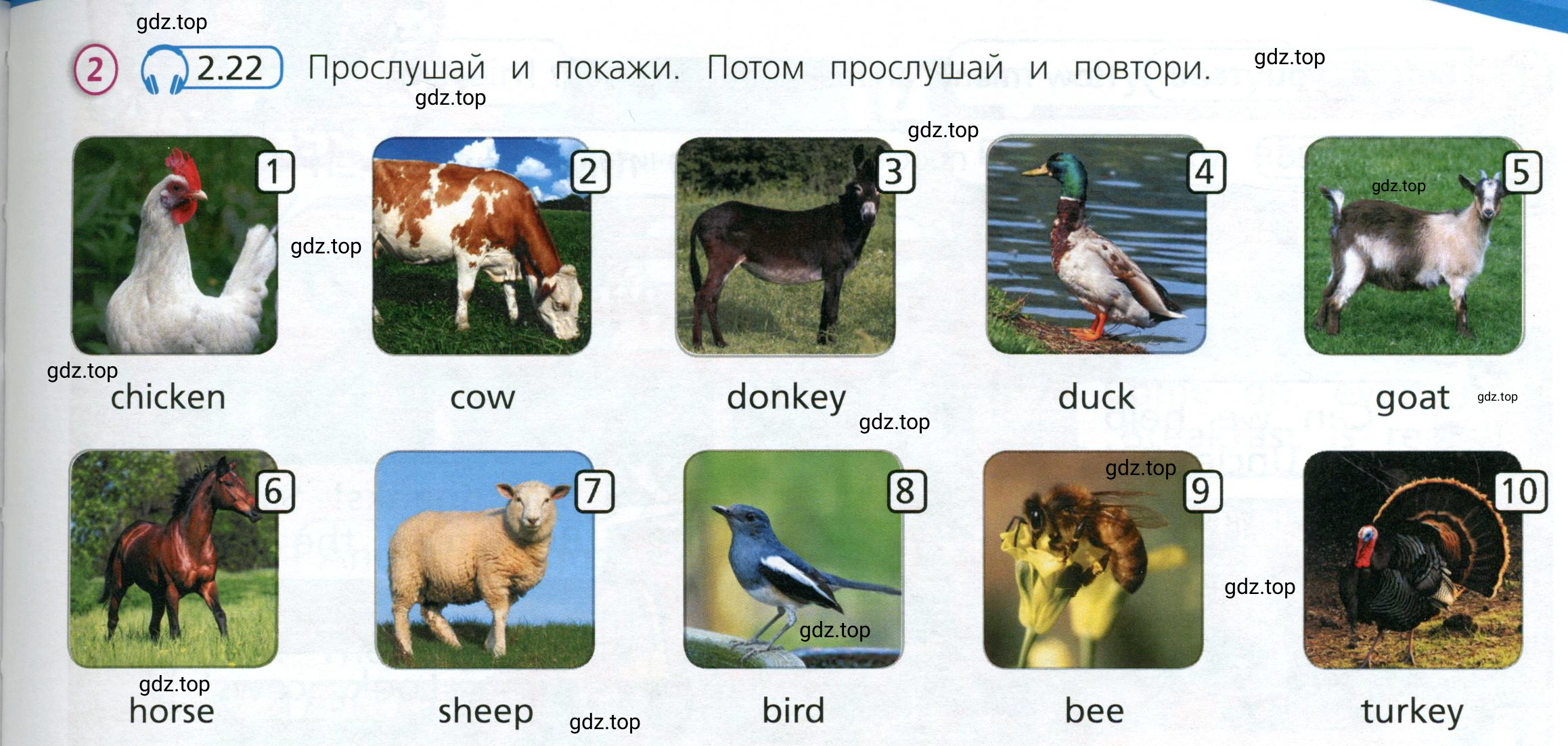 Условие номер 2 (страница 5) гдз по английскому языку 3 класс Костюк, Колоницкая, учебник 2 часть