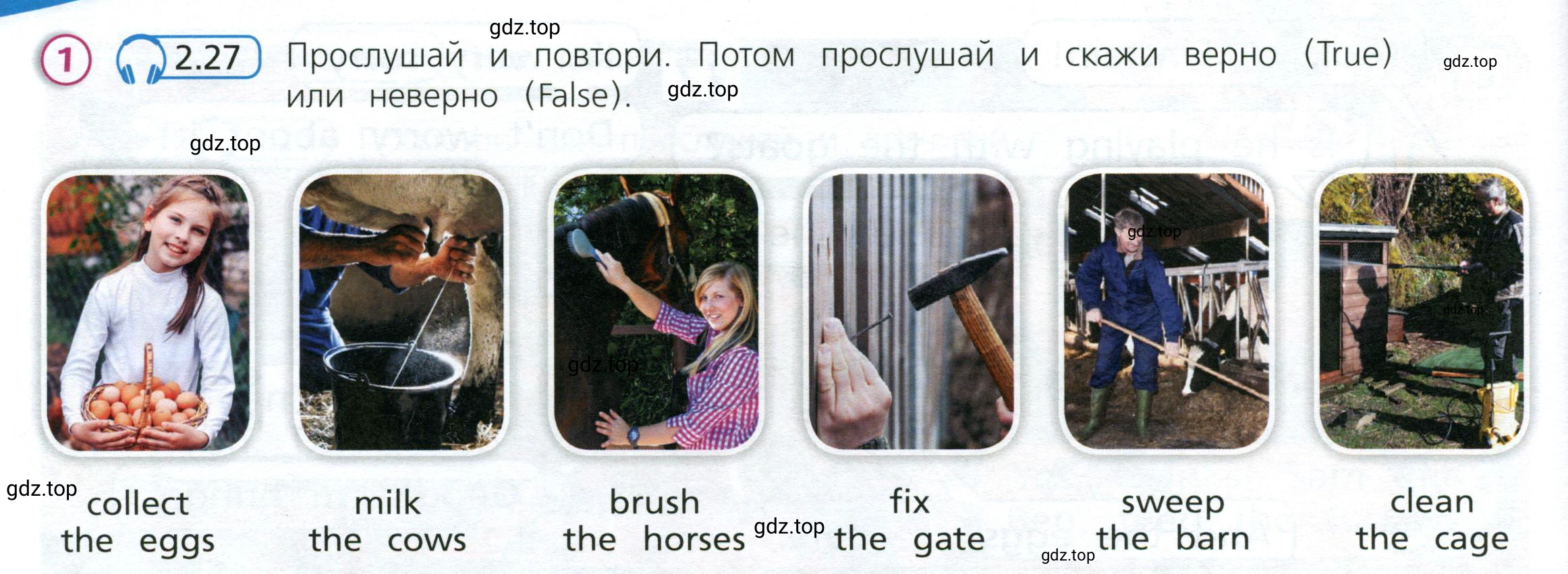 Условие номер 1 (страница 8) гдз по английскому языку 3 класс Костюк, Колоницкая, учебник 2 часть