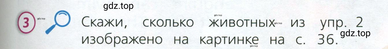Условие номер 3 (страница 37) гдз по английскому языку 3 класс Костюк, Колоницкая, учебник 2 часть