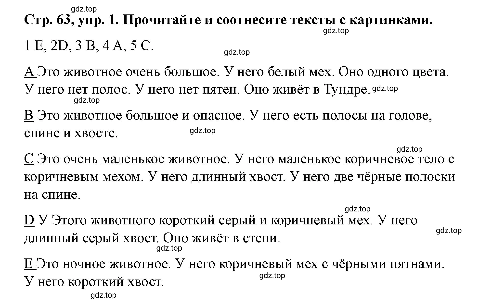 Решение номер 1 (страница 63) гдз по английскому языку 3 класс Костюк, Колоницкая, учебник 2 часть