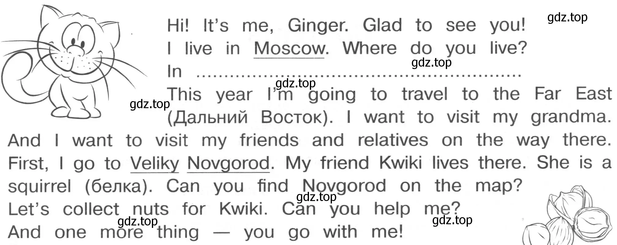 Условие  Начало модуля (страница 4) гдз по английскому языку 3 класс Рязанцева, сборник грамматических упражнений