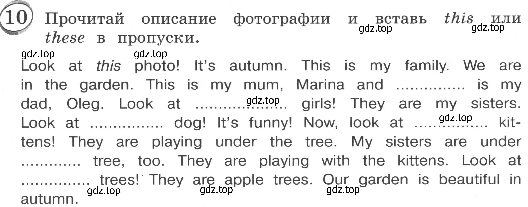 Условие номер 10 (страница 16) гдз по английскому языку 3 класс Рязанцева, сборник грамматических упражнений