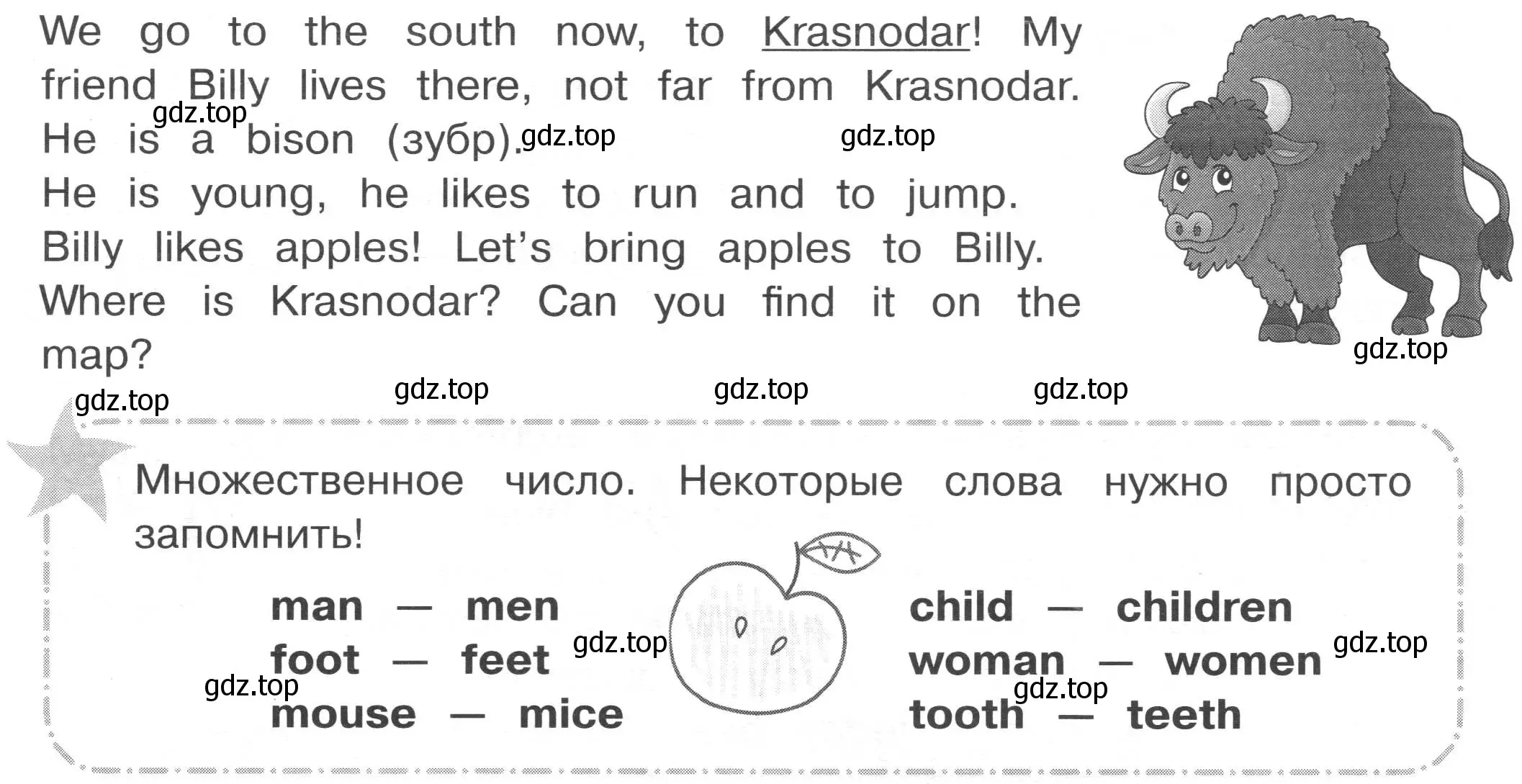 Условие  Начало модуля (страница 19) гдз по английскому языку 3 класс Рязанцева, сборник грамматических упражнений