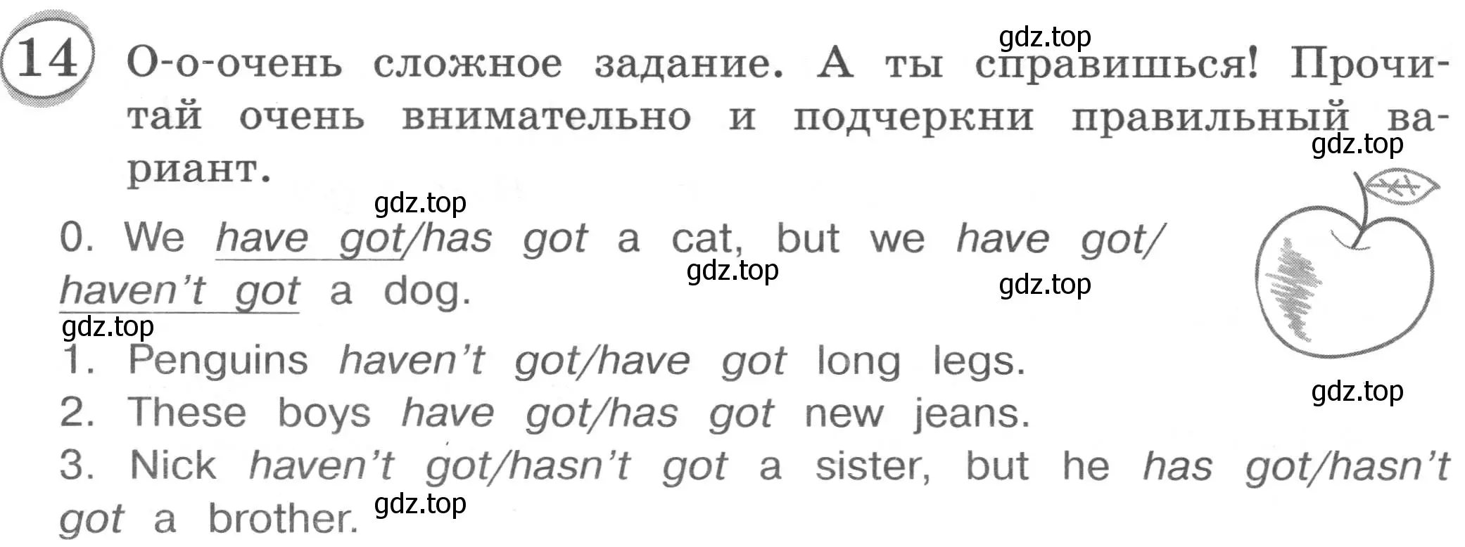 Условие номер 14 (страница 23) гдз по английскому языку 3 класс Рязанцева, сборник грамматических упражнений