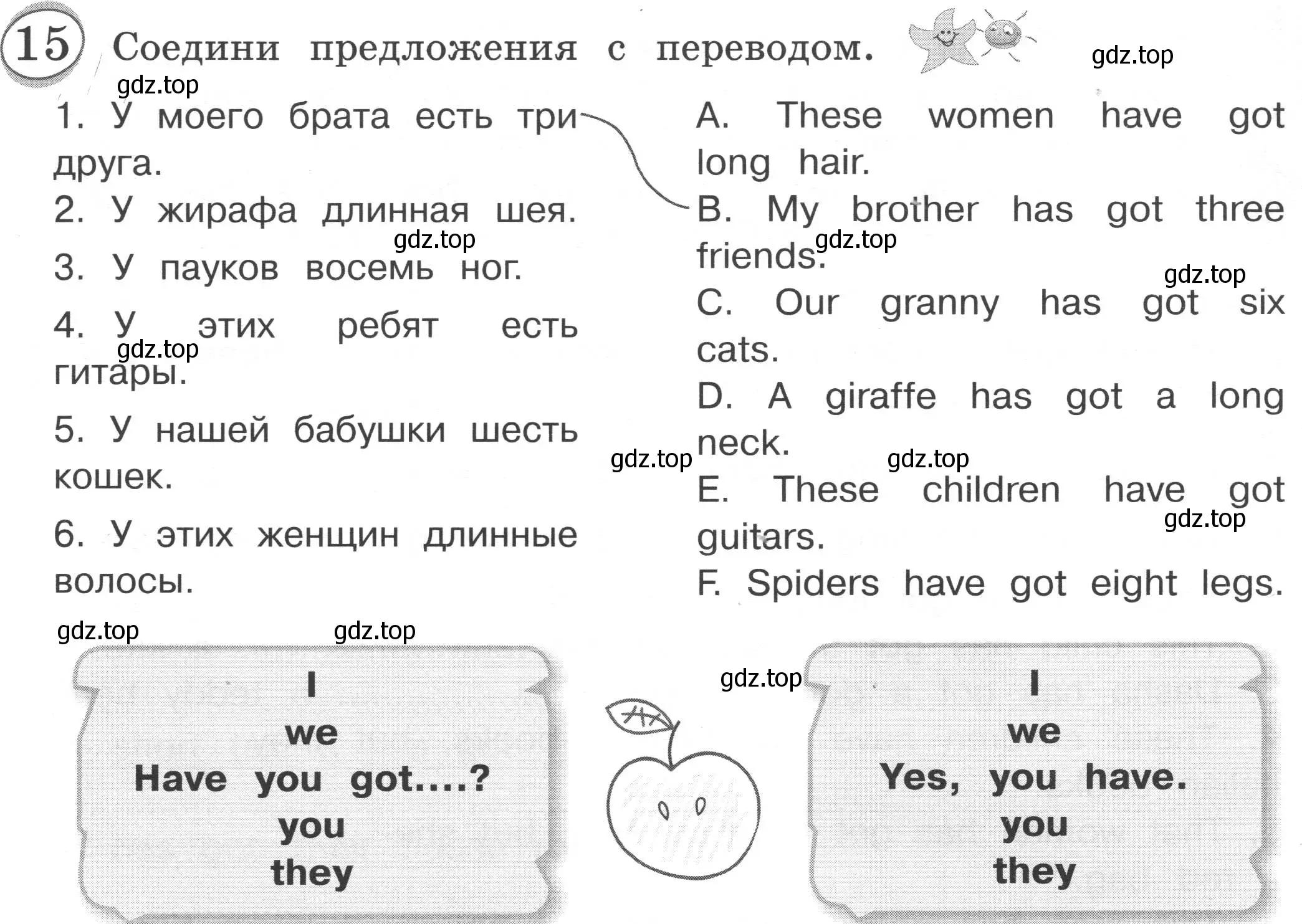 Условие номер 15 (страница 24) гдз по английскому языку 3 класс Рязанцева, сборник грамматических упражнений