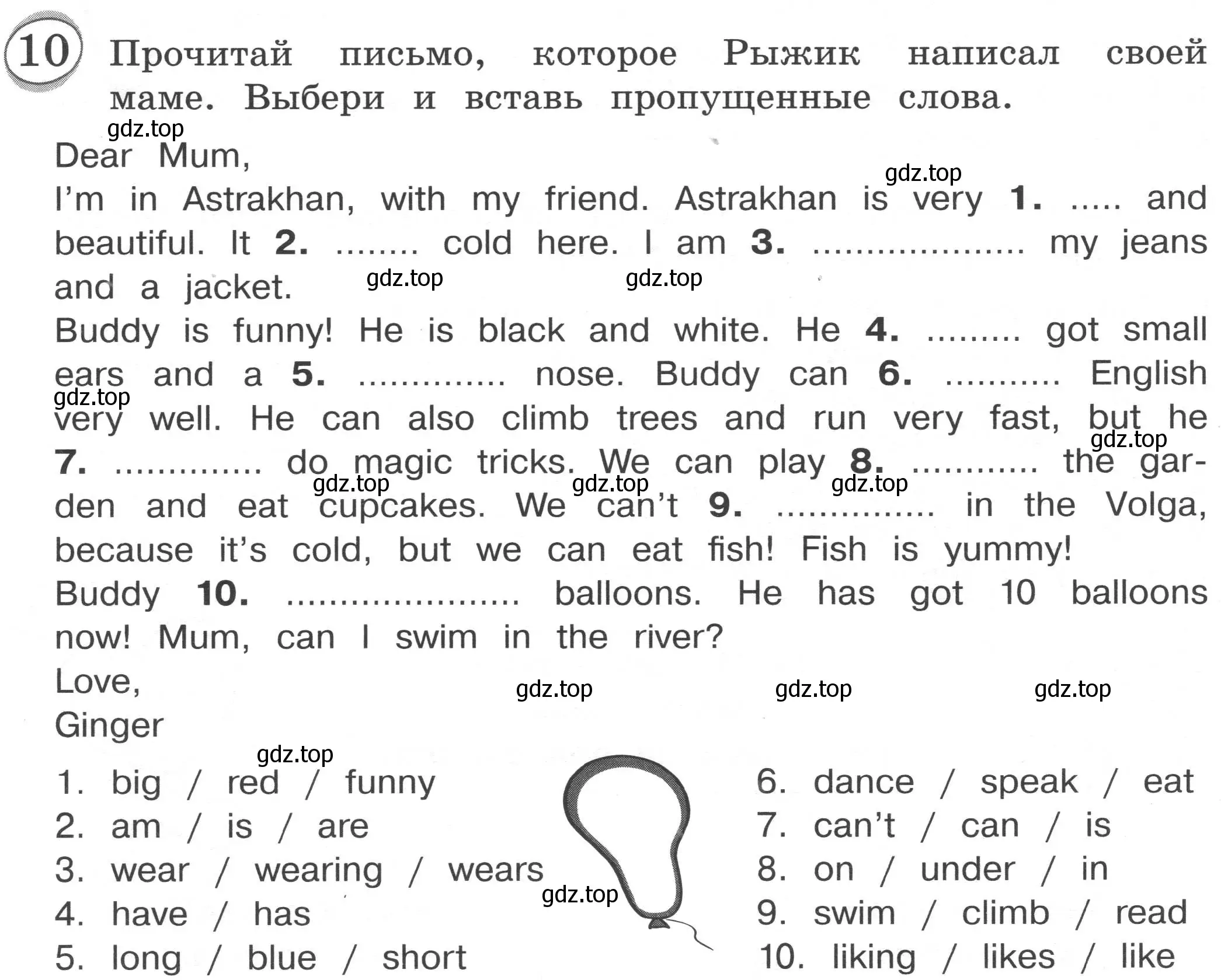 Условие номер 10 (страница 32) гдз по английскому языку 3 класс Рязанцева, сборник грамматических упражнений