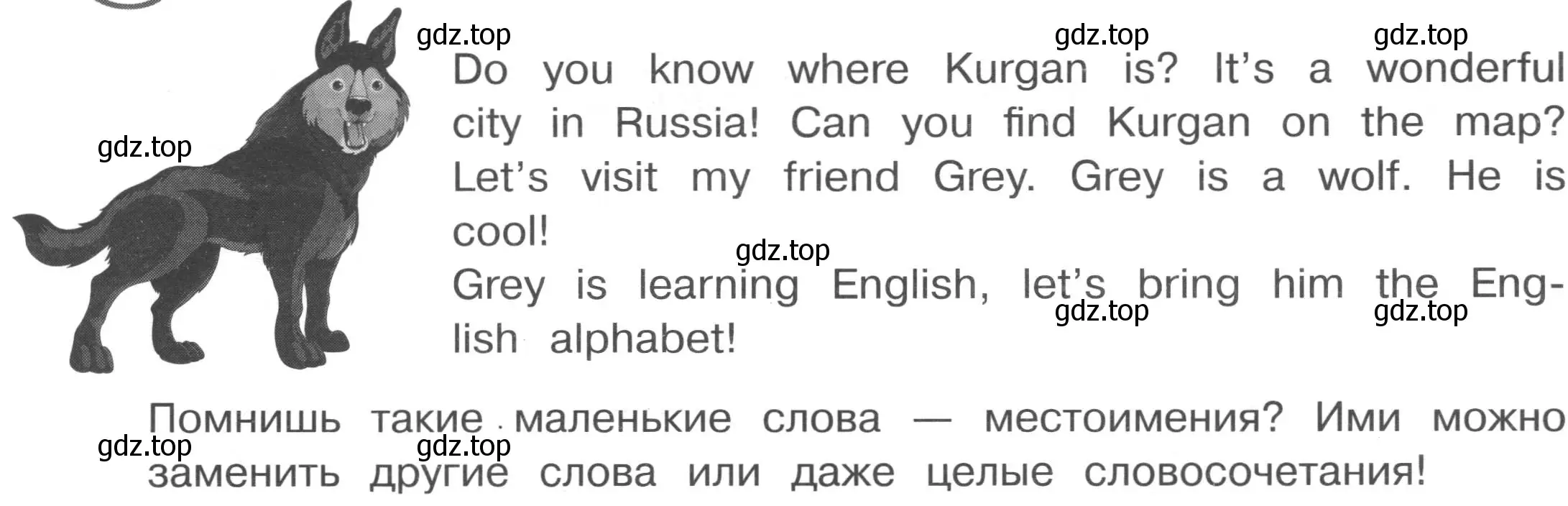 Условие  Начало модуля (страница 34) гдз по английскому языку 3 класс Рязанцева, сборник грамматических упражнений