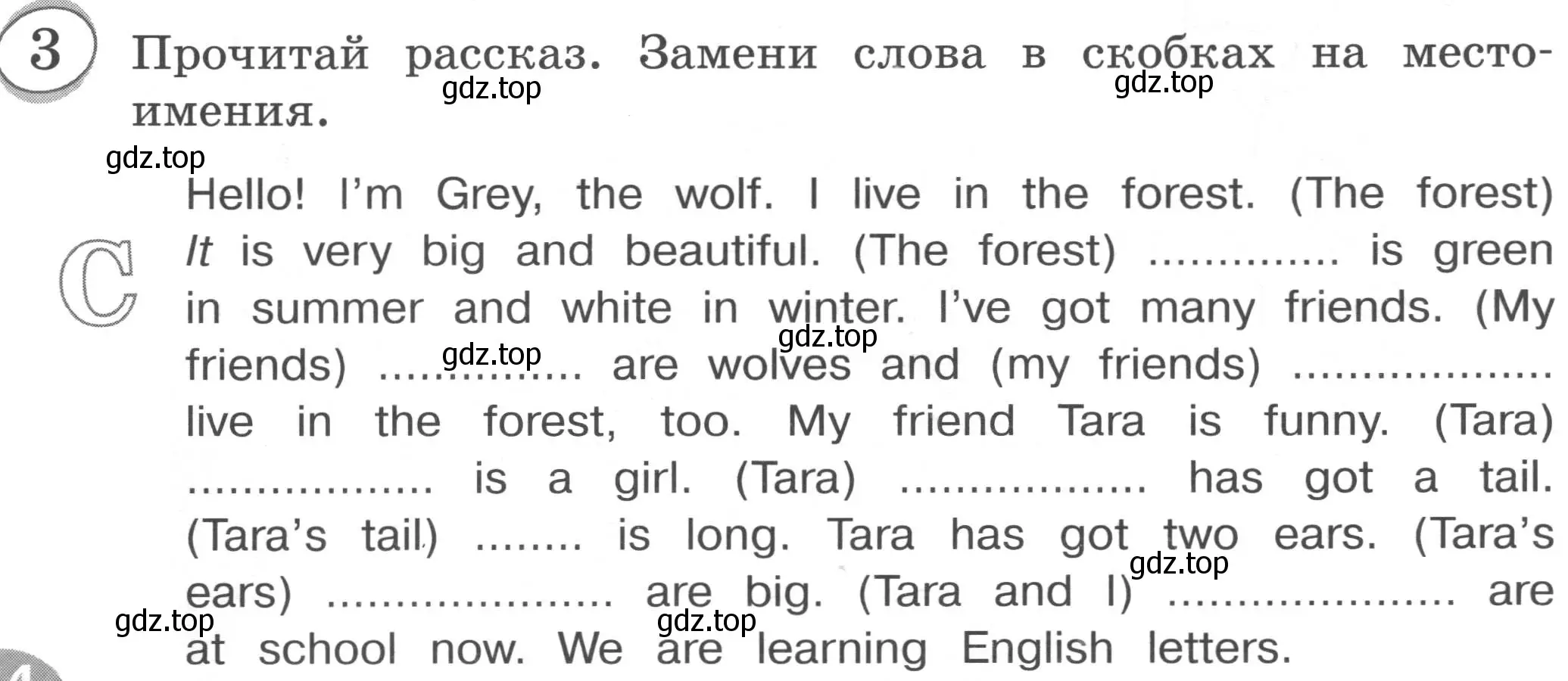 Условие номер 3 (страница 34) гдз по английскому языку 3 класс Рязанцева, сборник грамматических упражнений