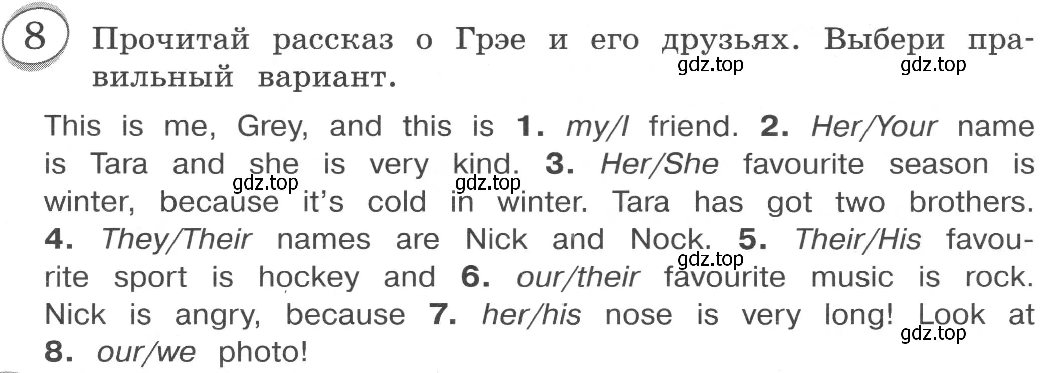 Условие номер 8 (страница 36) гдз по английскому языку 3 класс Рязанцева, сборник грамматических упражнений