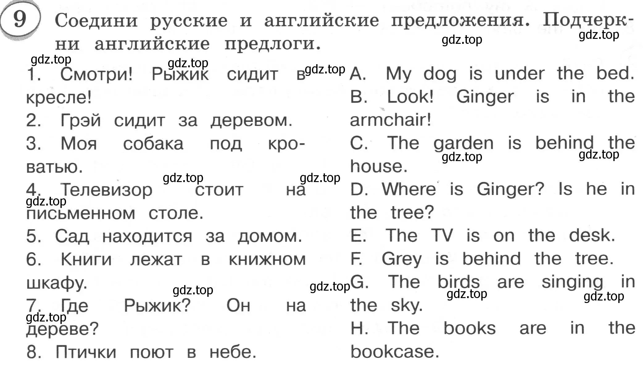 Условие номер 9 (страница 37) гдз по английскому языку 3 класс Рязанцева, сборник грамматических упражнений