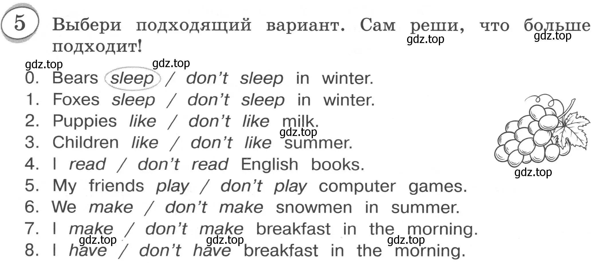 Условие номер 5 (страница 63) гдз по английскому языку 3 класс Рязанцева, сборник грамматических упражнений