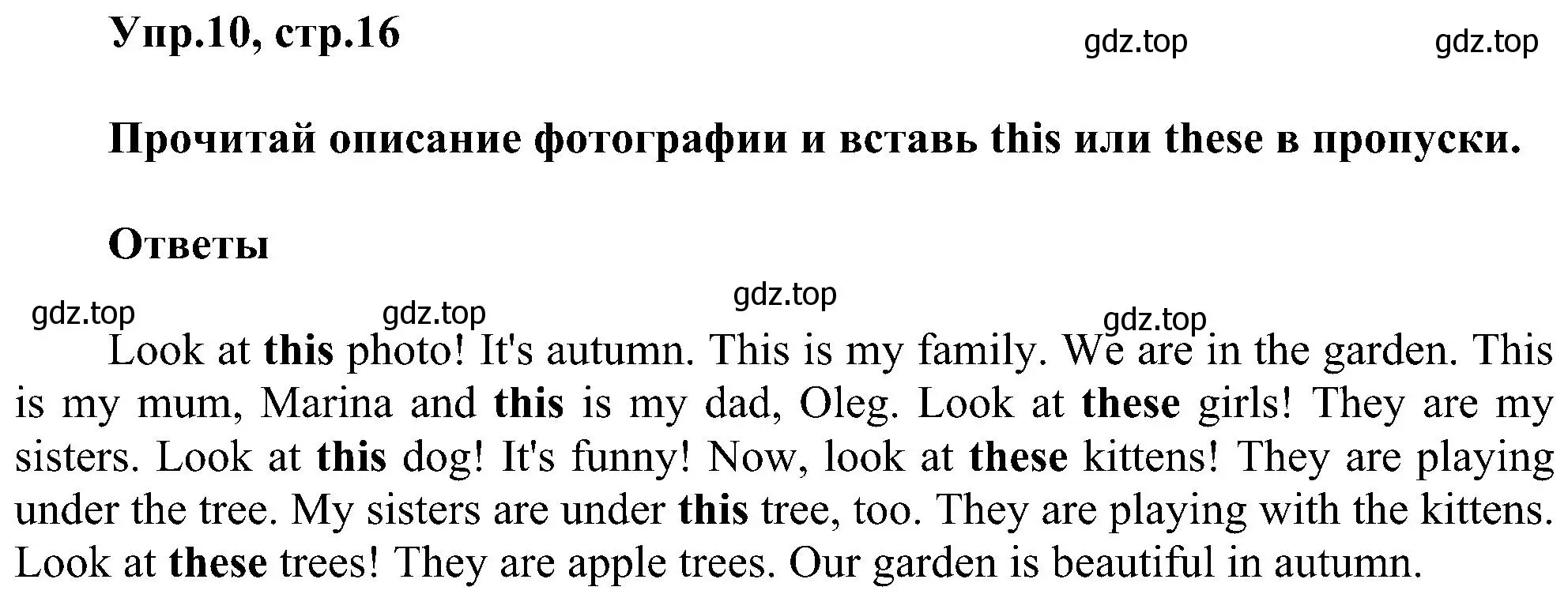 Решение номер 10 (страница 16) гдз по английскому языку 3 класс Рязанцева, сборник грамматических упражнений