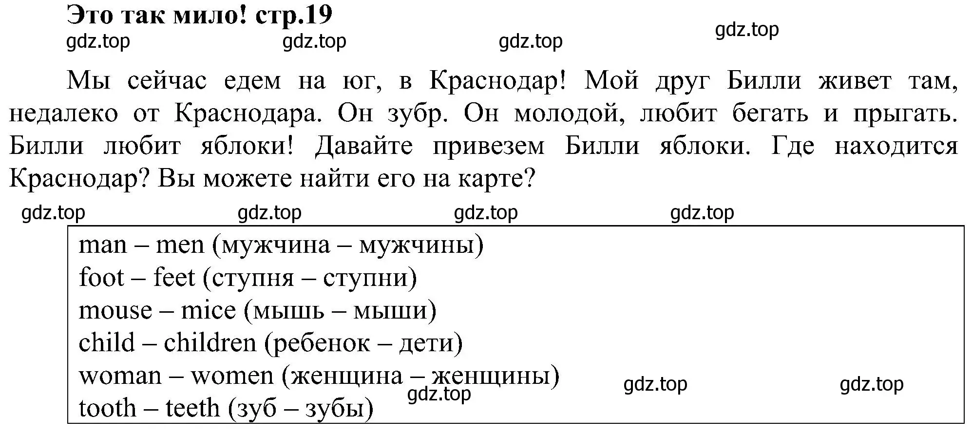 Решение  Начало модуля (страница 19) гдз по английскому языку 3 класс Рязанцева, сборник грамматических упражнений