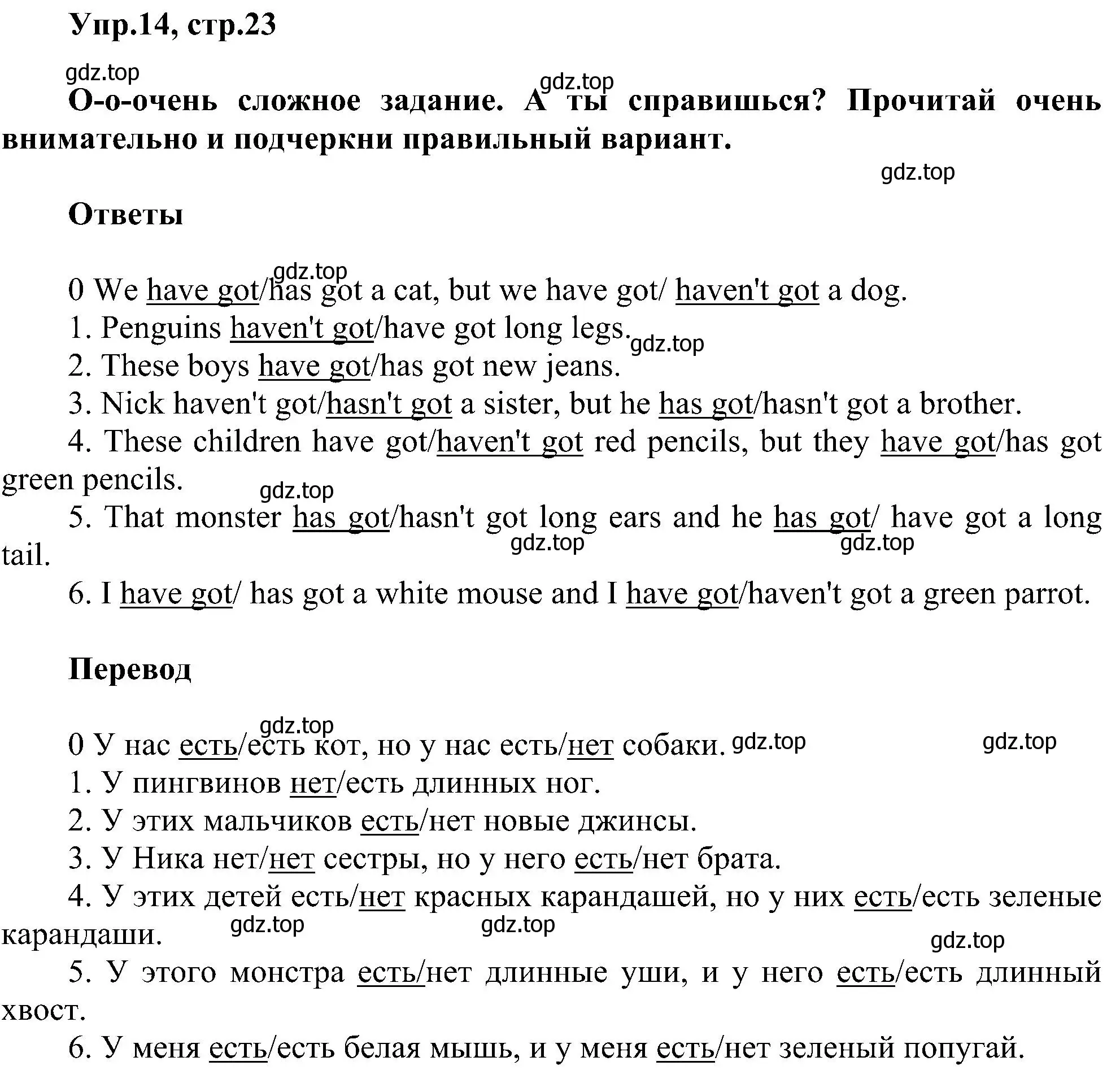 Решение номер 14 (страница 23) гдз по английскому языку 3 класс Рязанцева, сборник грамматических упражнений