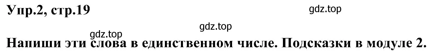 Решение номер 2 (страница 19) гдз по английскому языку 3 класс Рязанцева, сборник грамматических упражнений