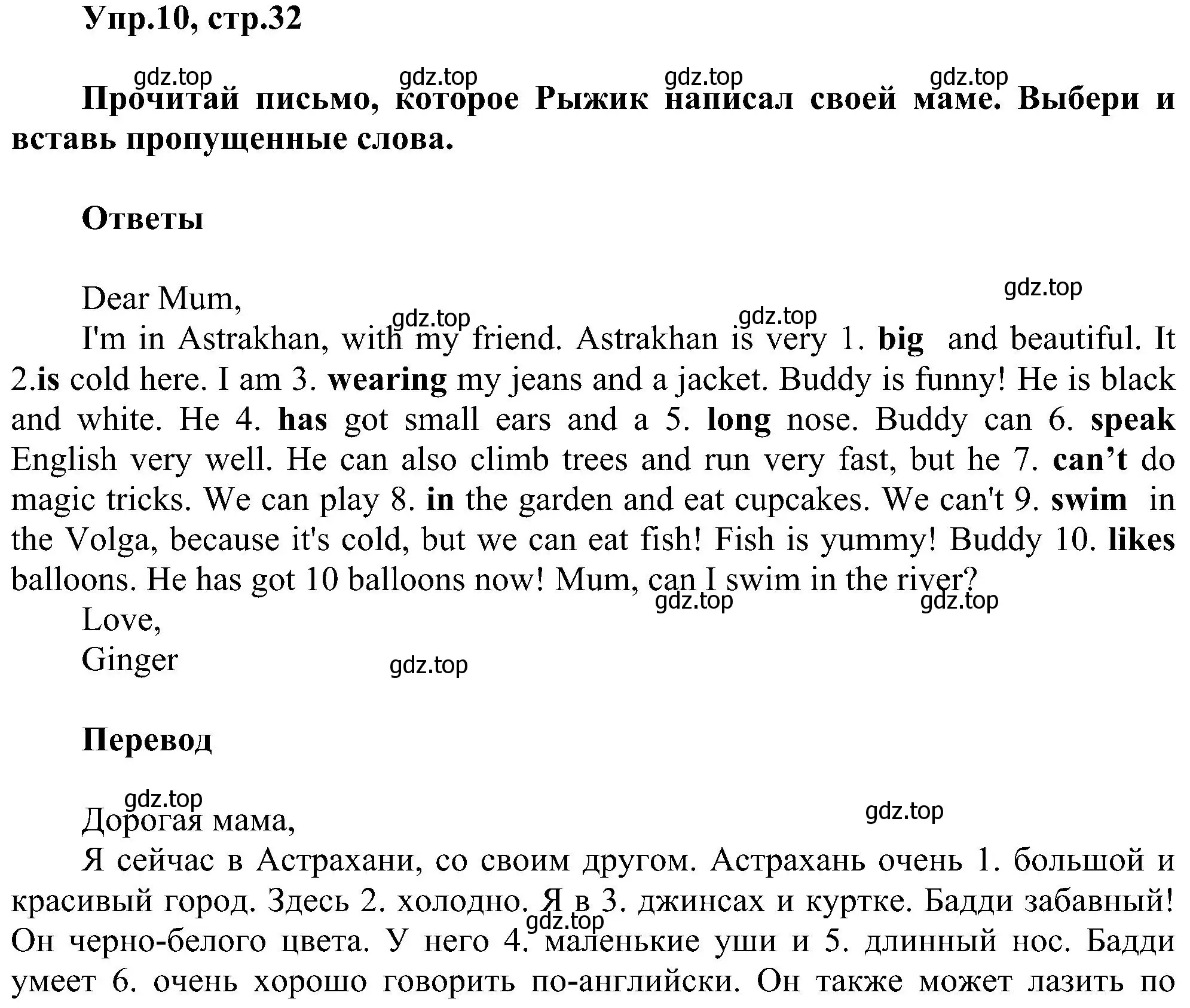 Решение номер 10 (страница 32) гдз по английскому языку 3 класс Рязанцева, сборник грамматических упражнений