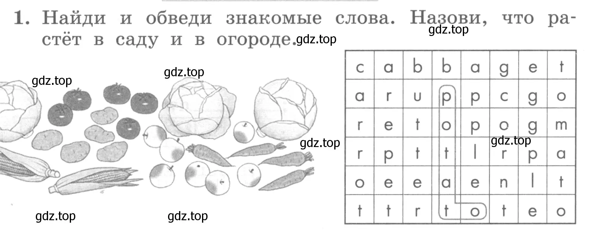 Условие номер 1 (страница 9) гдз по английскому языку 3 класс Биболетова, Денисенко, рабочая тетрадь