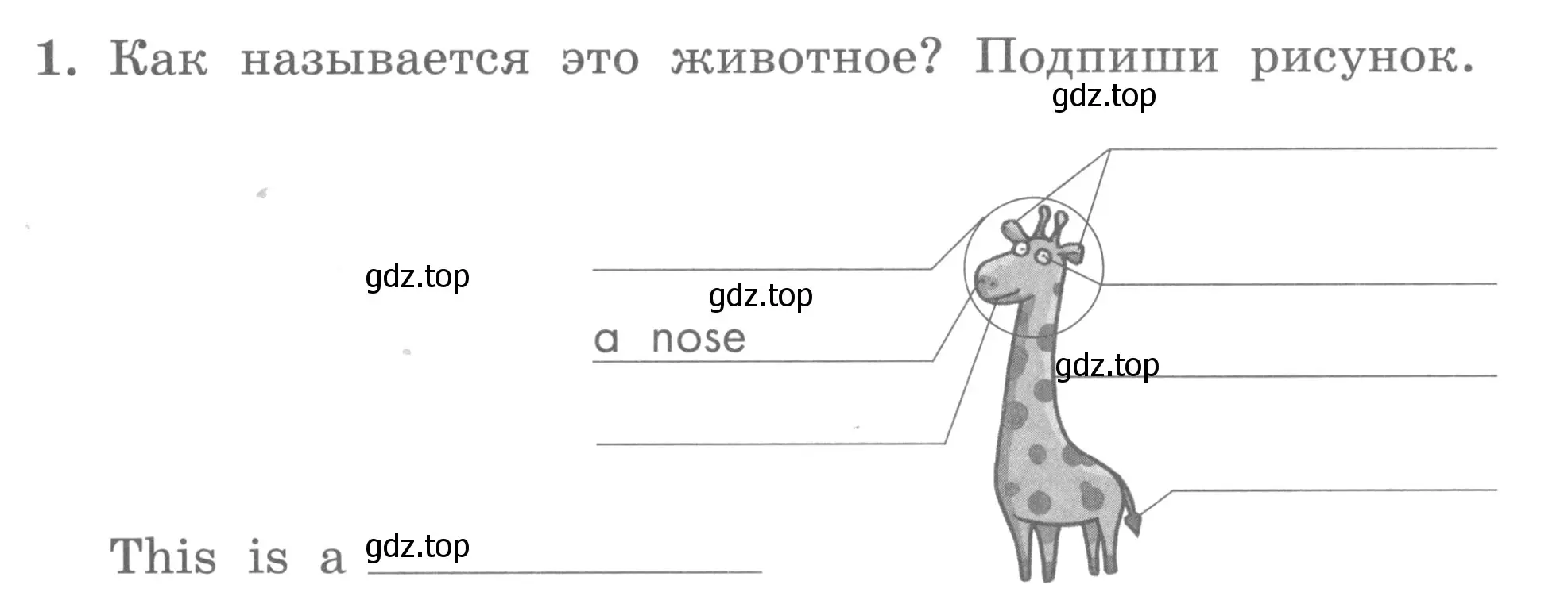 Условие номер 1 (страница 23) гдз по английскому языку 3 класс Биболетова, Денисенко, рабочая тетрадь