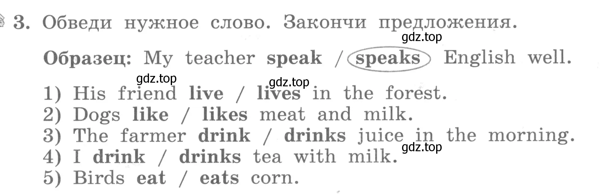 Условие номер 3 (страница 23) гдз по английскому языку 3 класс Биболетова, Денисенко, рабочая тетрадь