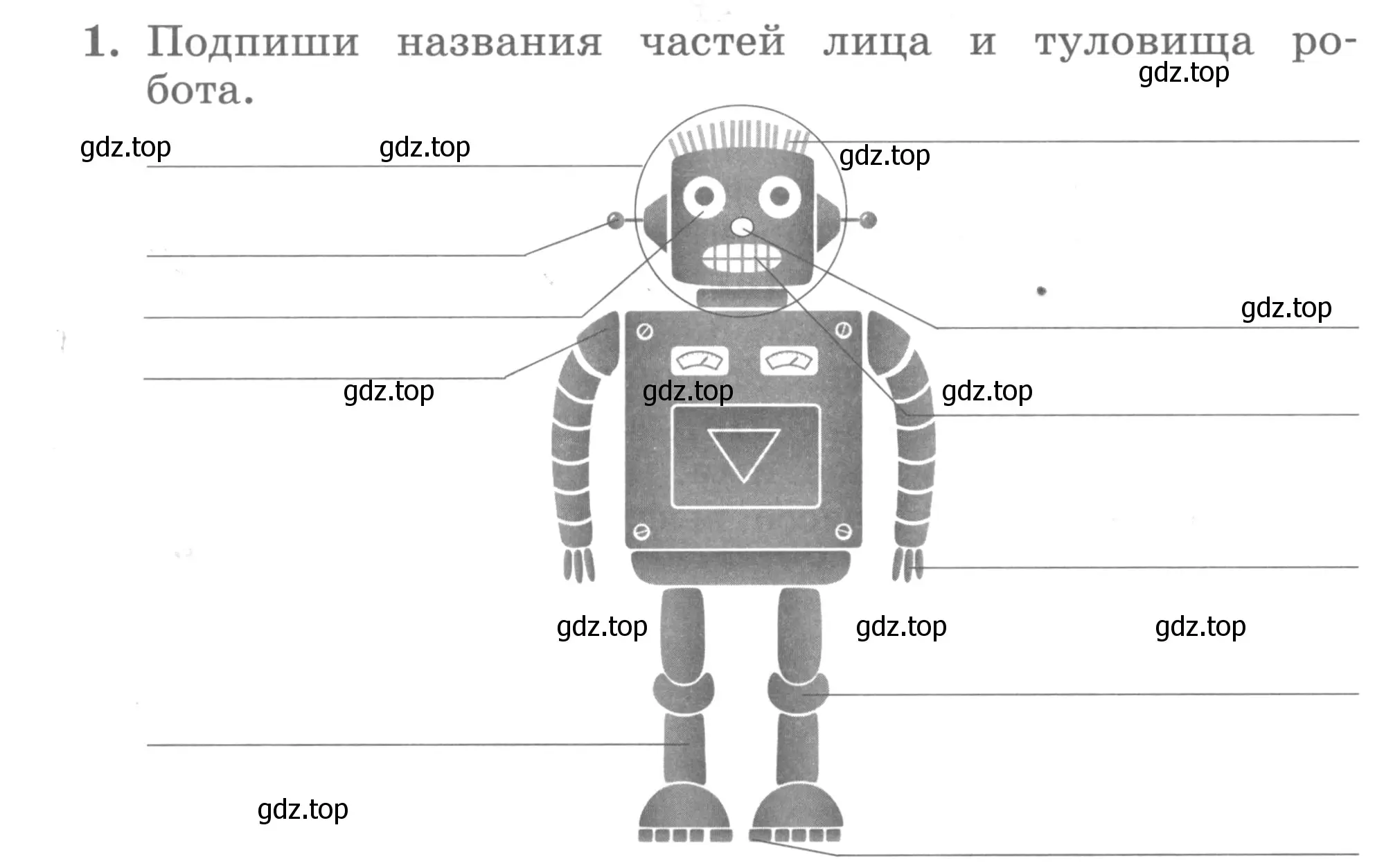 Условие номер 1 (страница 62) гдз по английскому языку 3 класс Биболетова, Денисенко, рабочая тетрадь