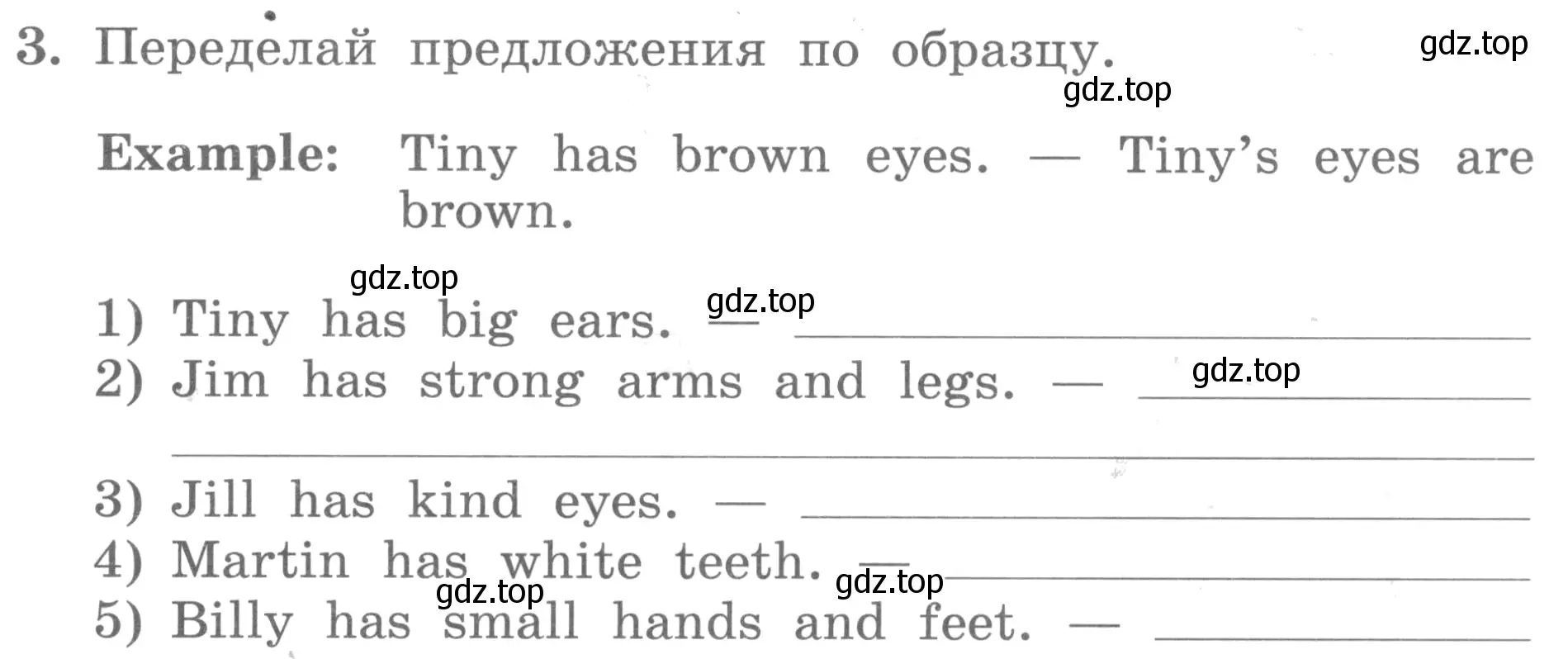 Условие номер 3 (страница 63) гдз по английскому языку 3 класс Биболетова, Денисенко, рабочая тетрадь