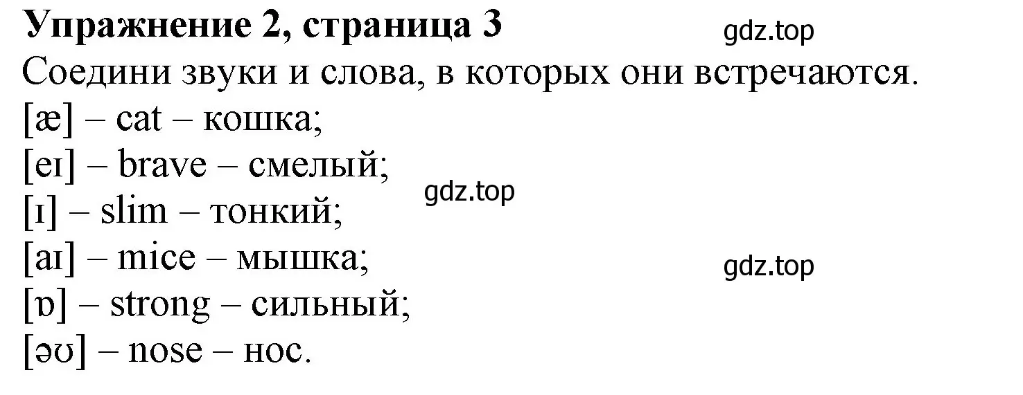 Решение номер 2 (страница 3) гдз по английскому языку 3 класс Биболетова, Денисенко, рабочая тетрадь