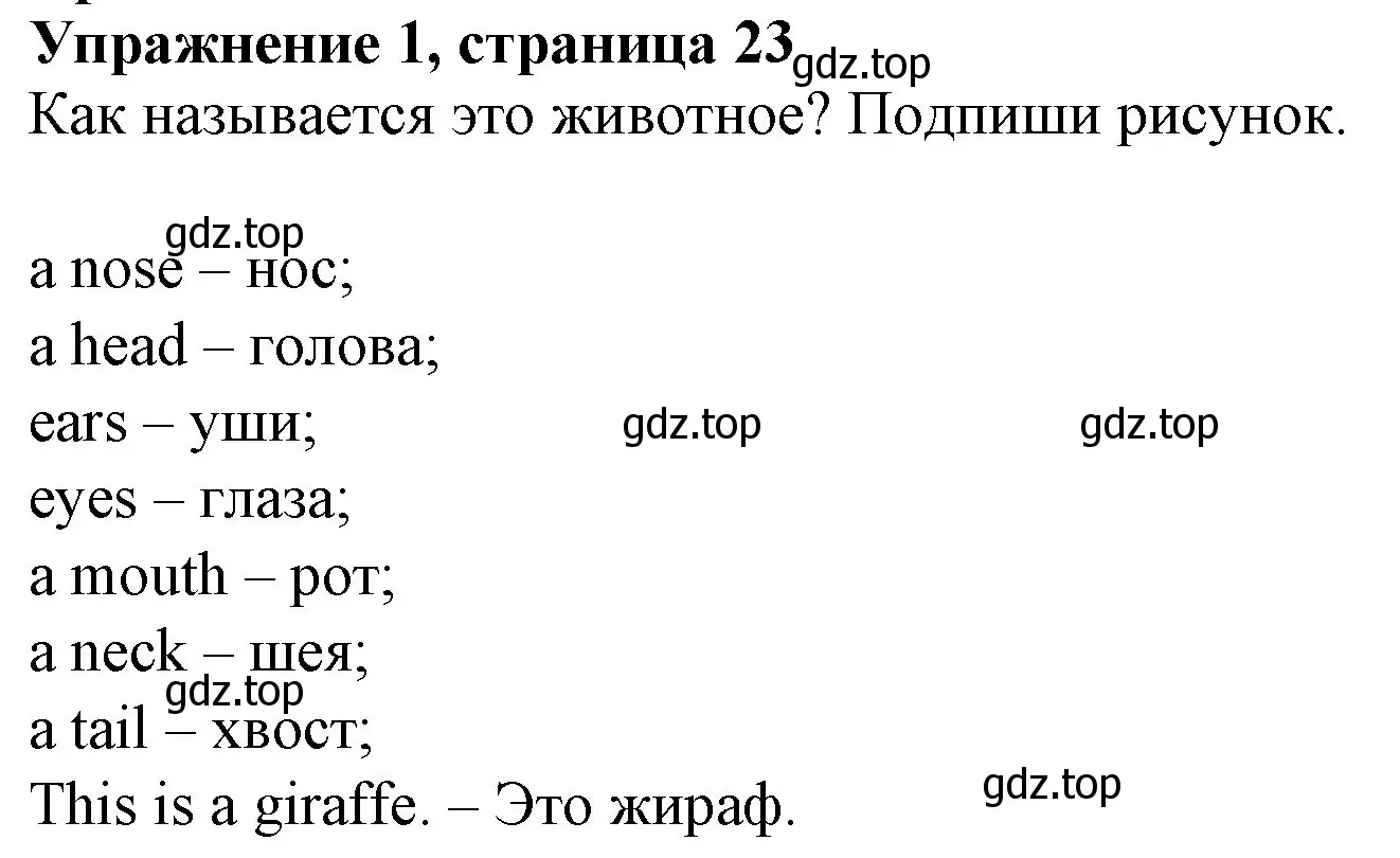 Решение номер 1 (страница 23) гдз по английскому языку 3 класс Биболетова, Денисенко, рабочая тетрадь
