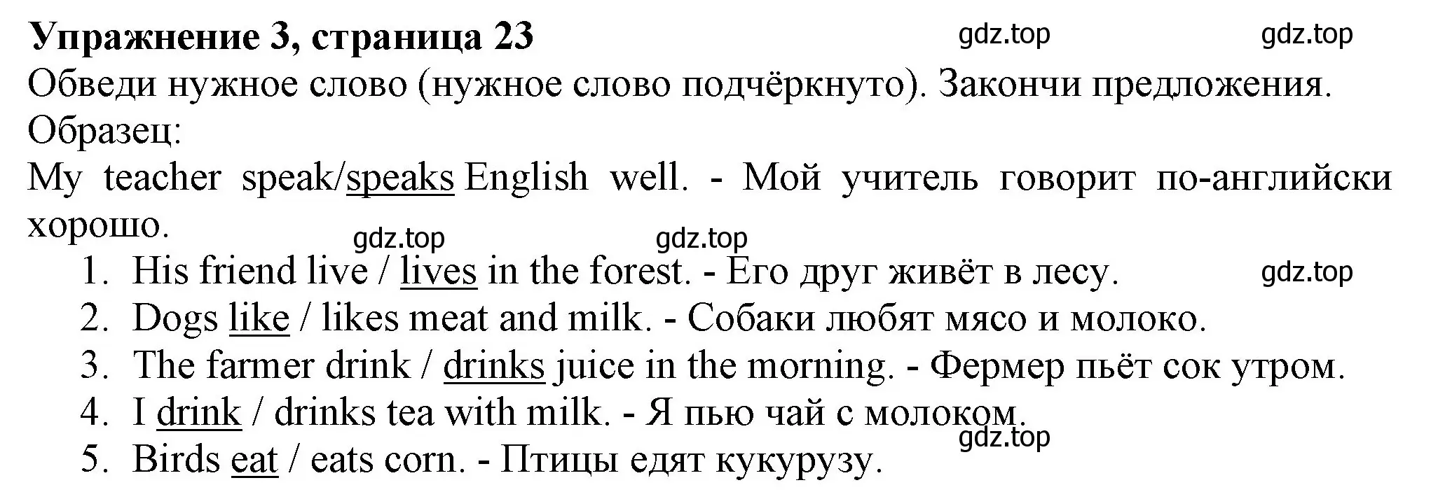 Решение номер 3 (страница 23) гдз по английскому языку 3 класс Биболетова, Денисенко, рабочая тетрадь
