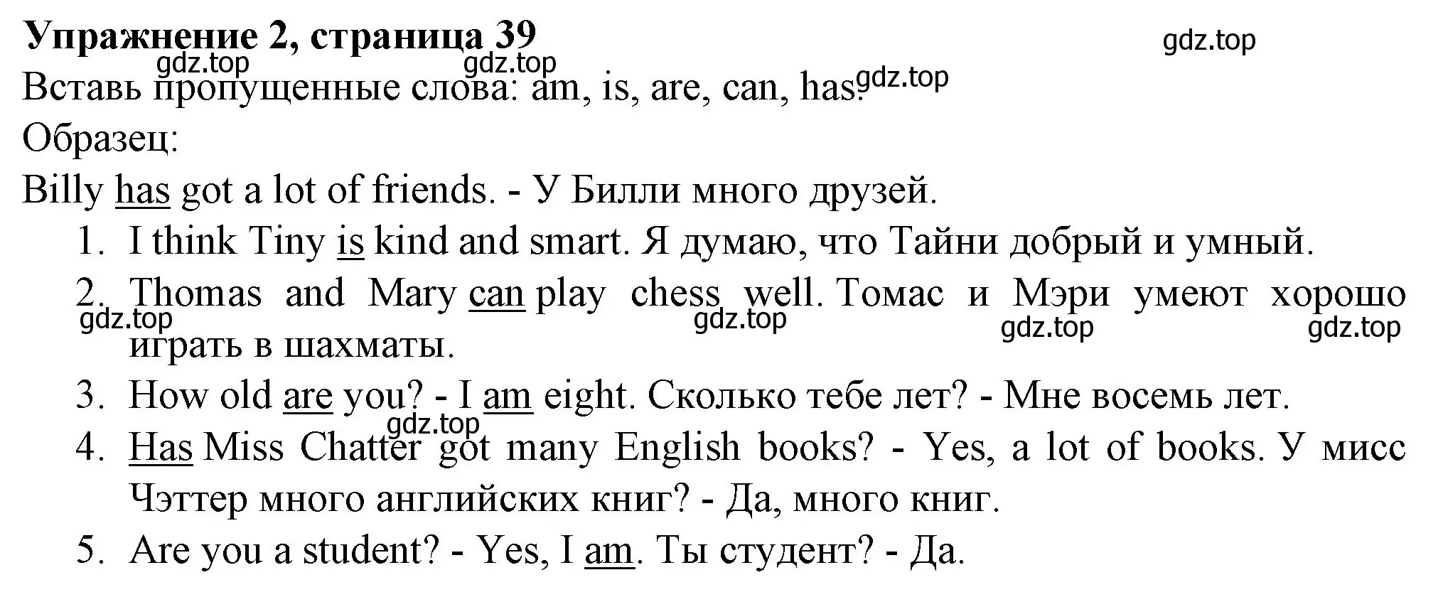 Решение номер 2 (страница 39) гдз по английскому языку 3 класс Биболетова, Денисенко, рабочая тетрадь