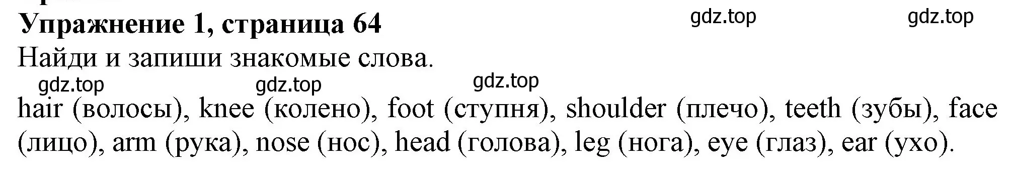 Решение номер 1 (страница 64) гдз по английскому языку 3 класс Биболетова, Денисенко, рабочая тетрадь