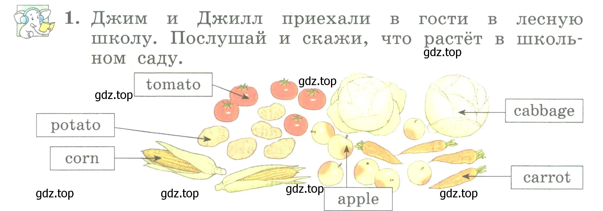 Условие номер 1 (страница 16) гдз по английскому языку 3 класс Биболетова, Денисенко, учебник