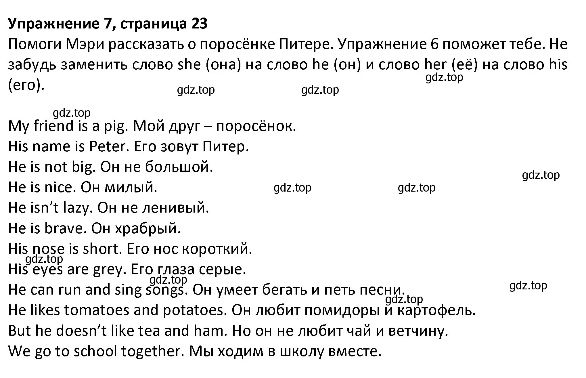 Решение номер 7 (страница 23) гдз по английскому языку 3 класс Биболетова, Денисенко, учебник