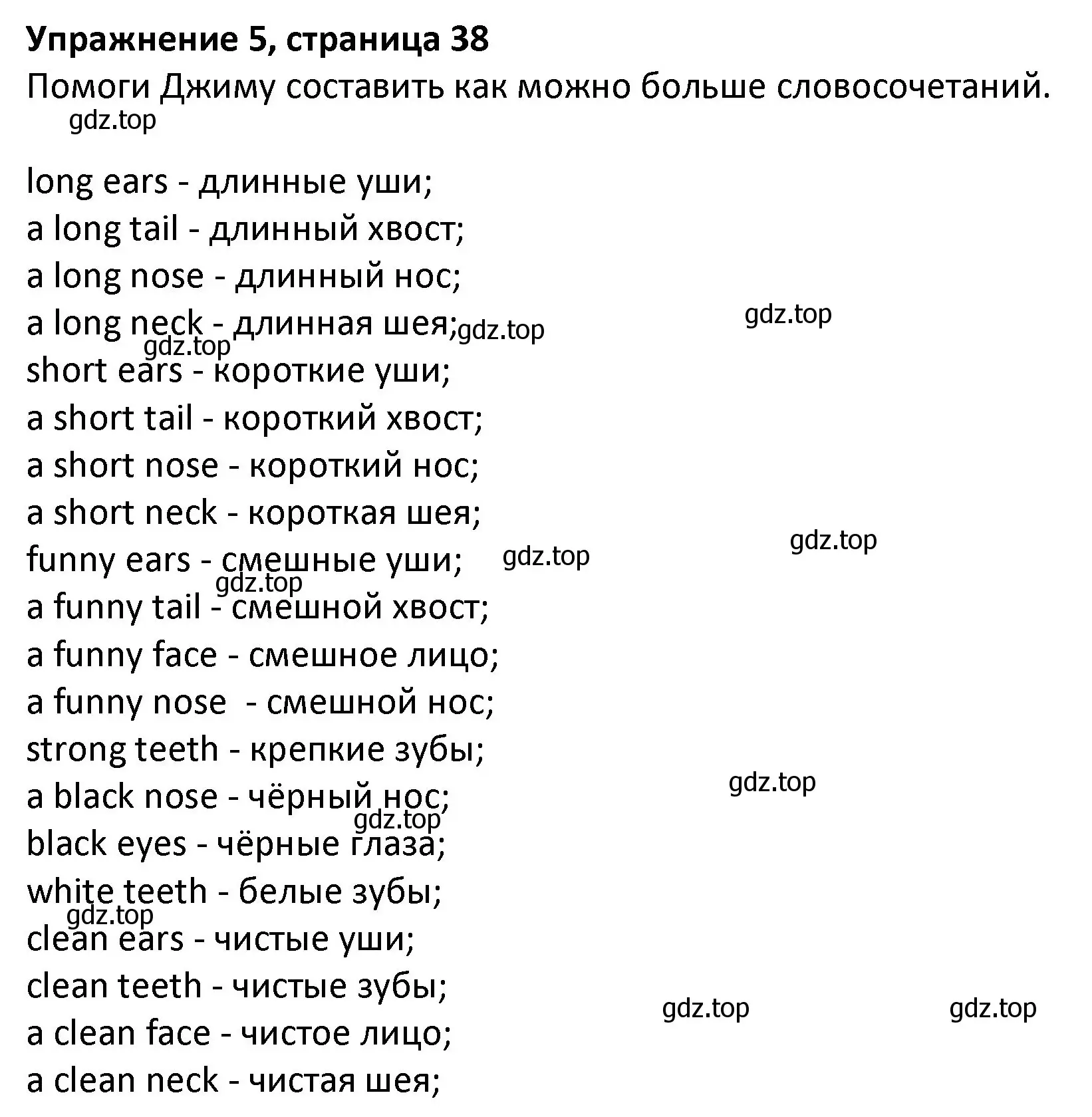 Решение номер 5 (страница 38) гдз по английскому языку 3 класс Биболетова, Денисенко, учебник