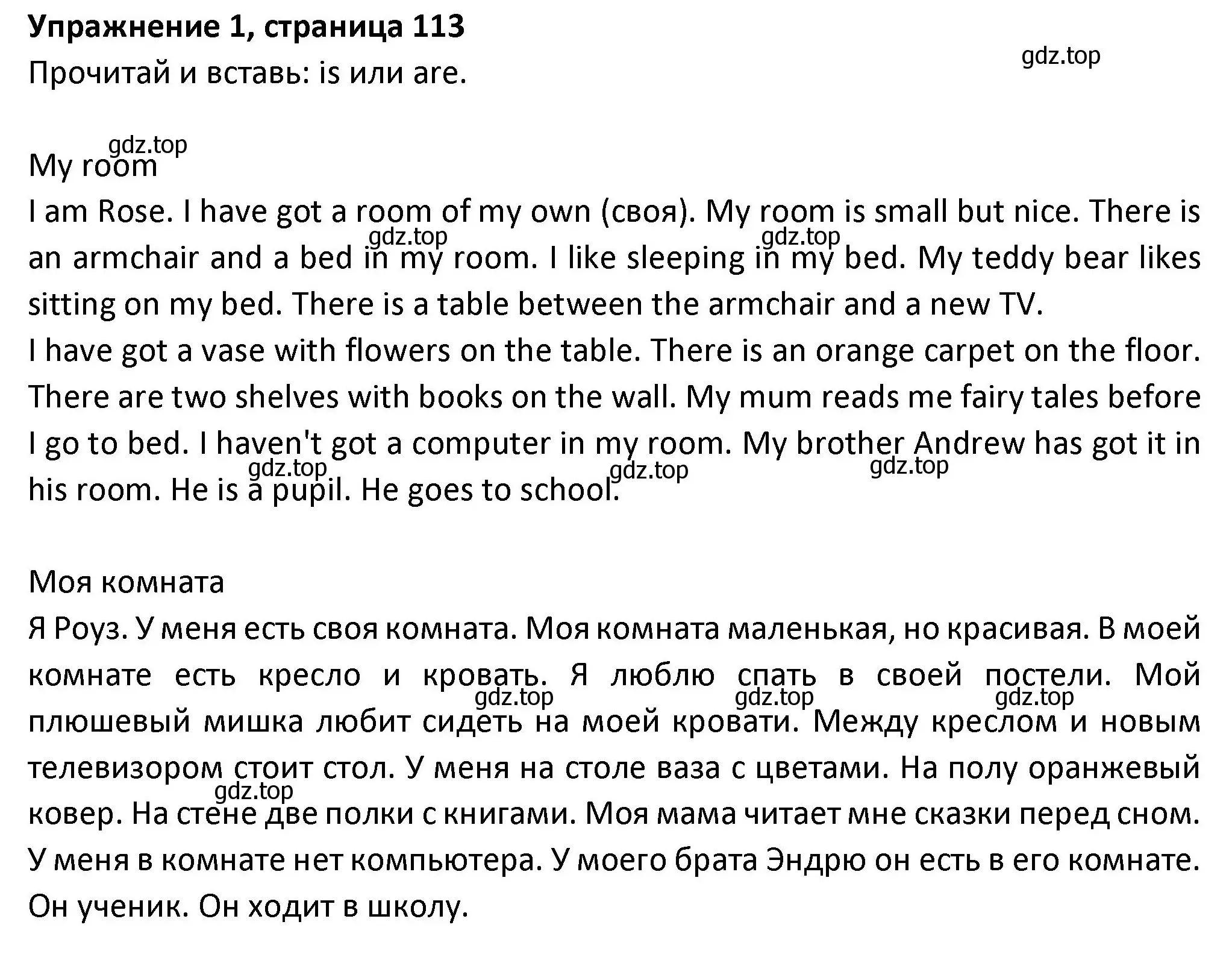 Решение номер 1 (страница 113) гдз по английскому языку 3 класс Биболетова, Денисенко, учебник