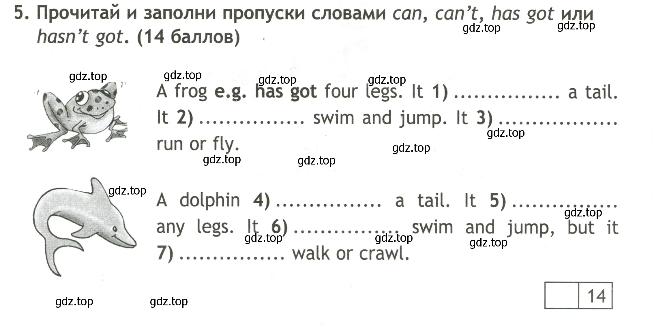 Условие номер 5 (страница 38) гдз по английскому языку 3 класс Быкова, Дули, контрольные задания