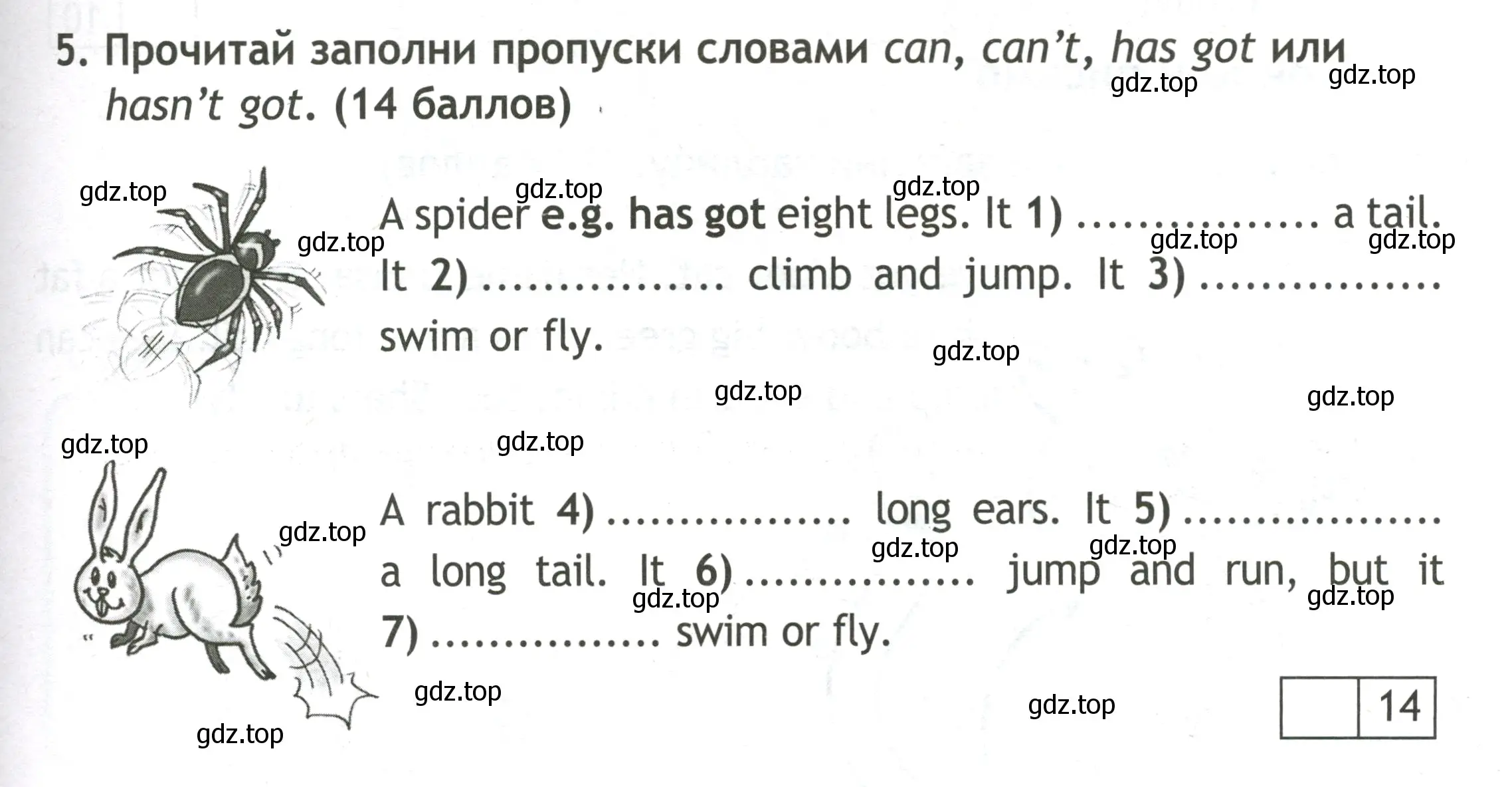 Условие номер 5 (страница 41) гдз по английскому языку 3 класс Быкова, Дули, контрольные задания