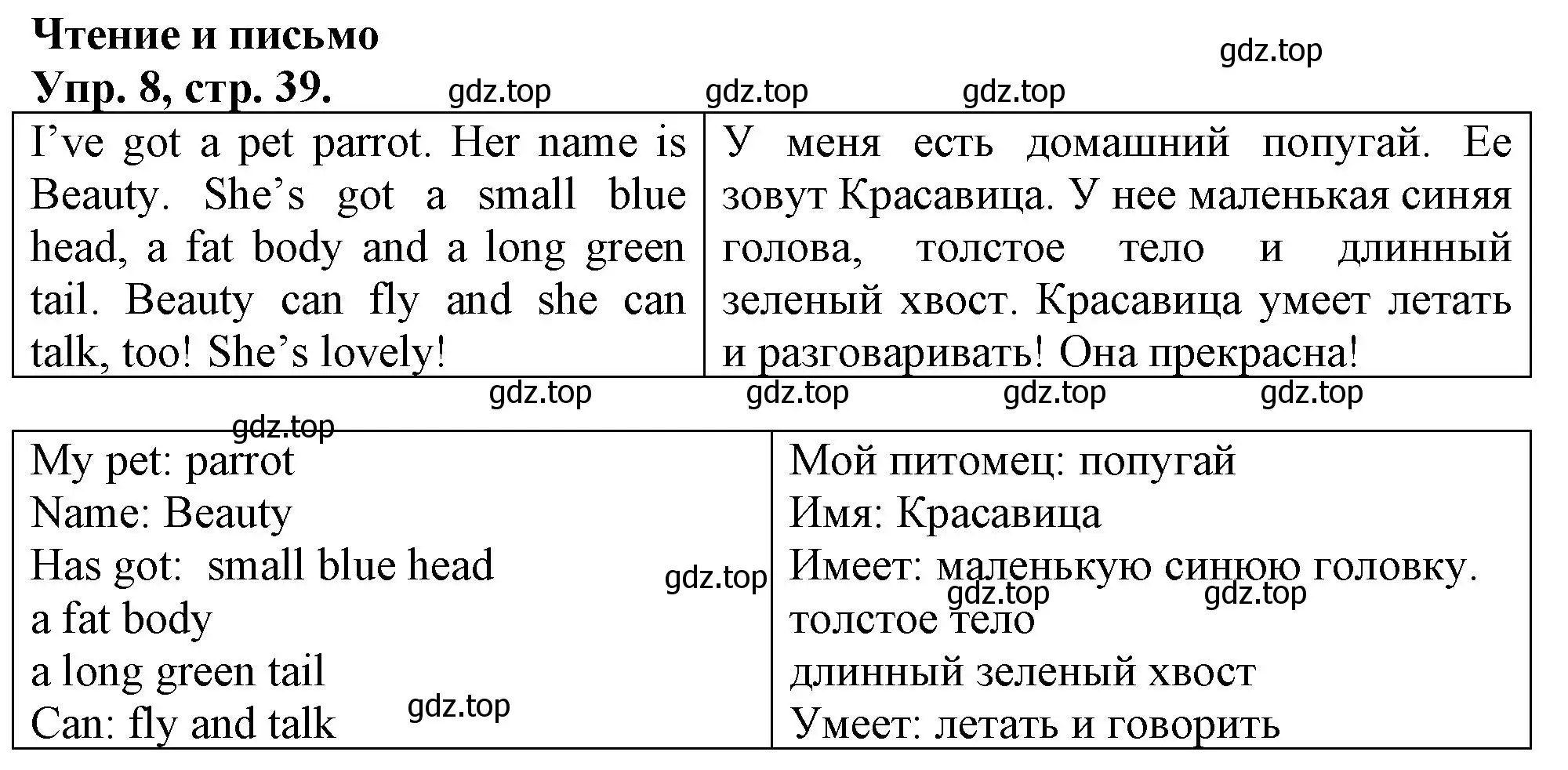 Решение номер 8 (страница 39) гдз по английскому языку 3 класс Быкова, Дули, контрольные задания