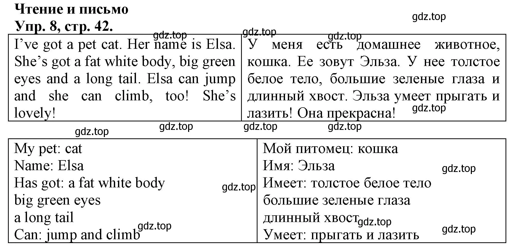 Решение номер 8 (страница 42) гдз по английскому языку 3 класс Быкова, Дули, контрольные задания