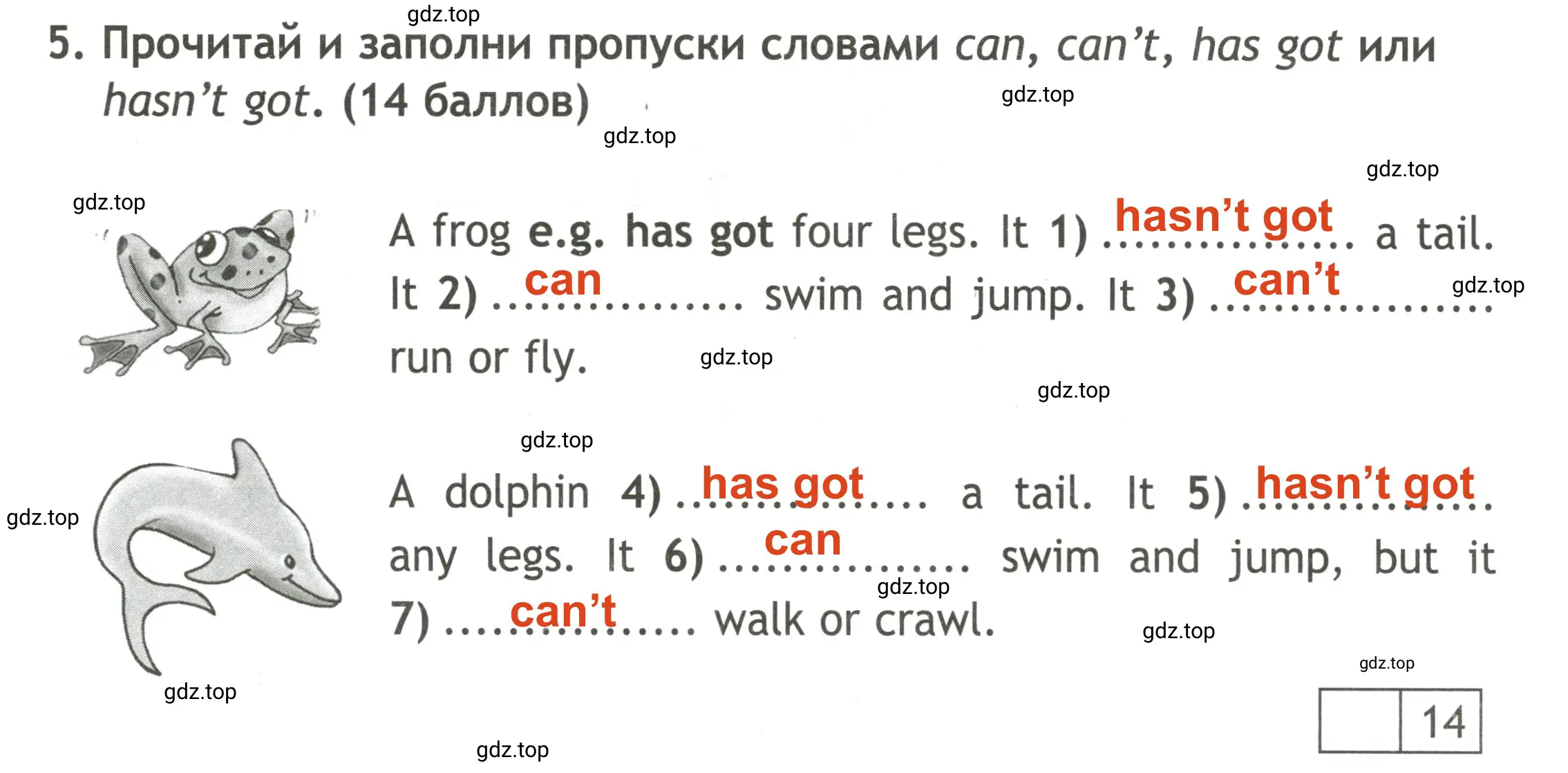 Решение 2. номер 5 (страница 38) гдз по английскому языку 3 класс Быкова, Дули, контрольные задания