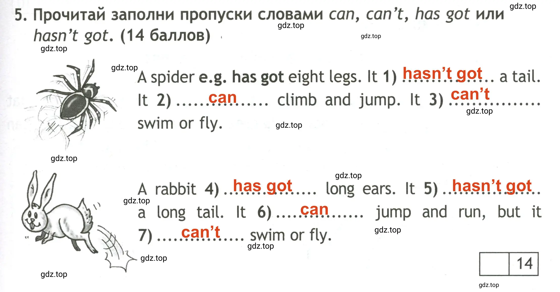 Решение 2. номер 5 (страница 41) гдз по английскому языку 3 класс Быкова, Дули, контрольные задания