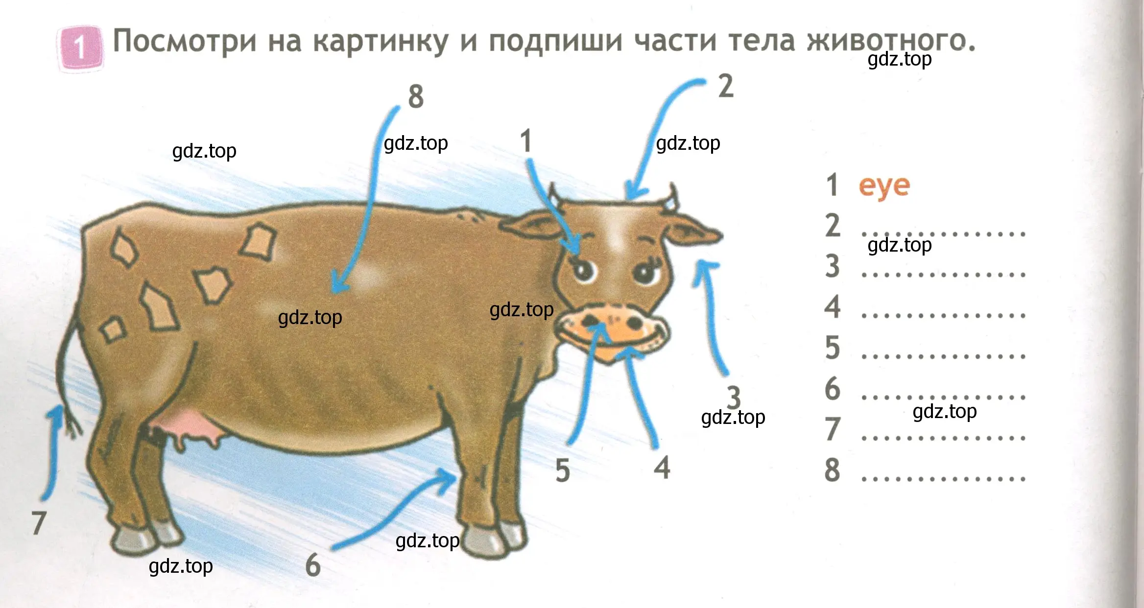 Условие номер 1 (страница 42) гдз по английскому языку 3 класс Быкова, Дули, рабочая тетрадь