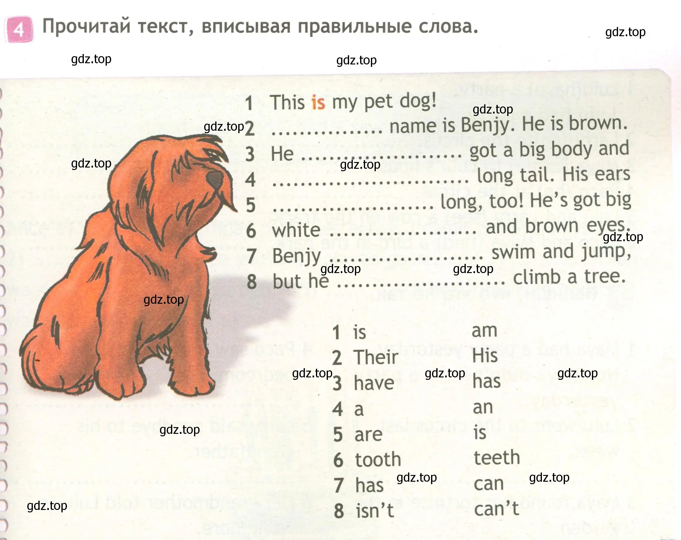 Условие номер 4 (страница 45) гдз по английскому языку 3 класс Быкова, Дули, рабочая тетрадь