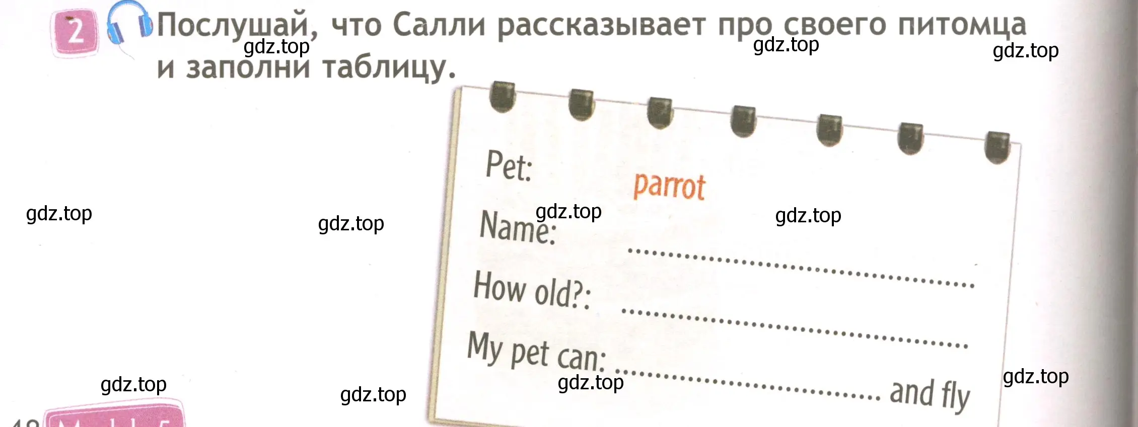 Условие номер 2 (страница 48) гдз по английскому языку 3 класс Быкова, Дули, рабочая тетрадь