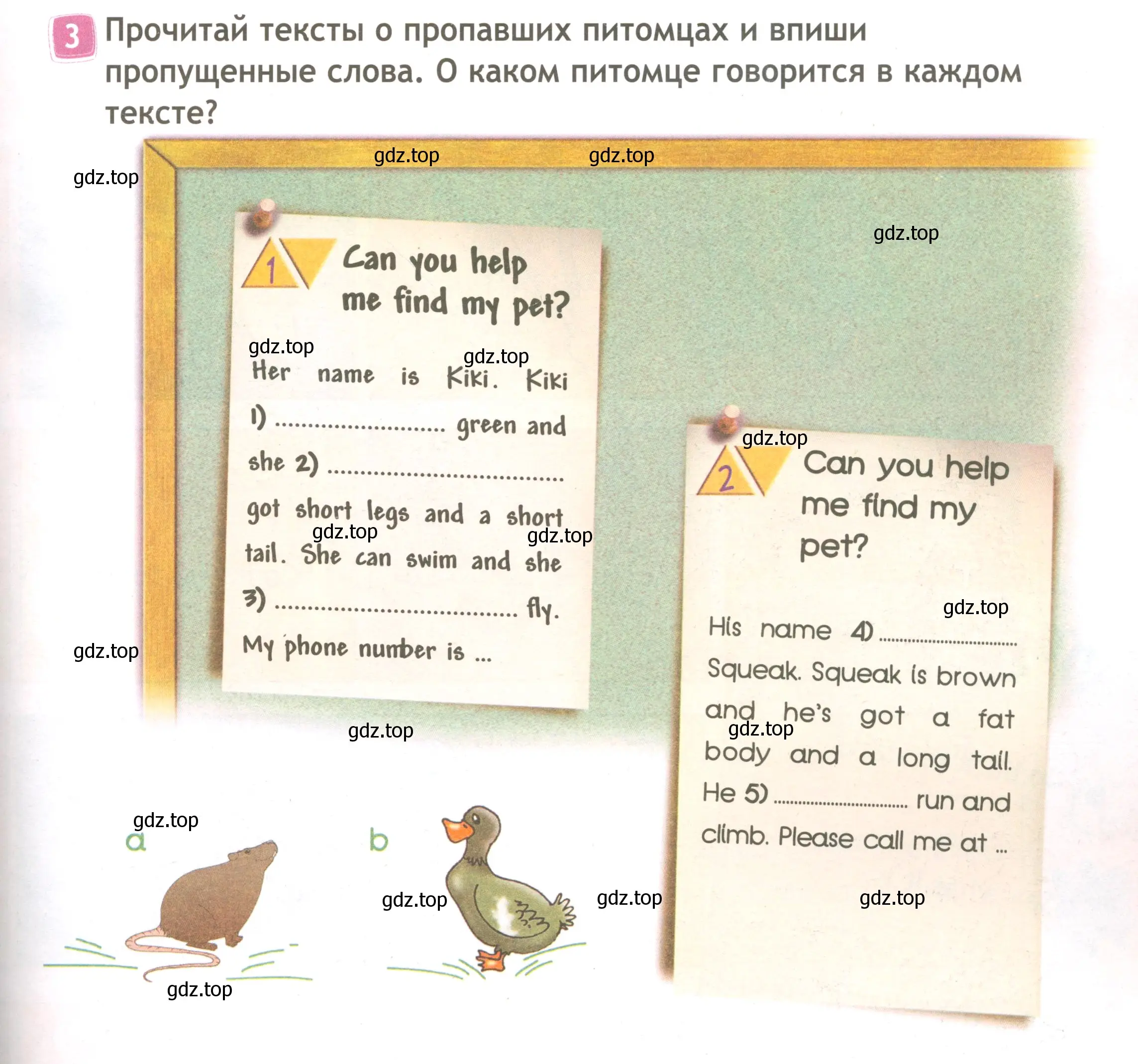 Условие номер 3 (страница 49) гдз по английскому языку 3 класс Быкова, Дули, рабочая тетрадь