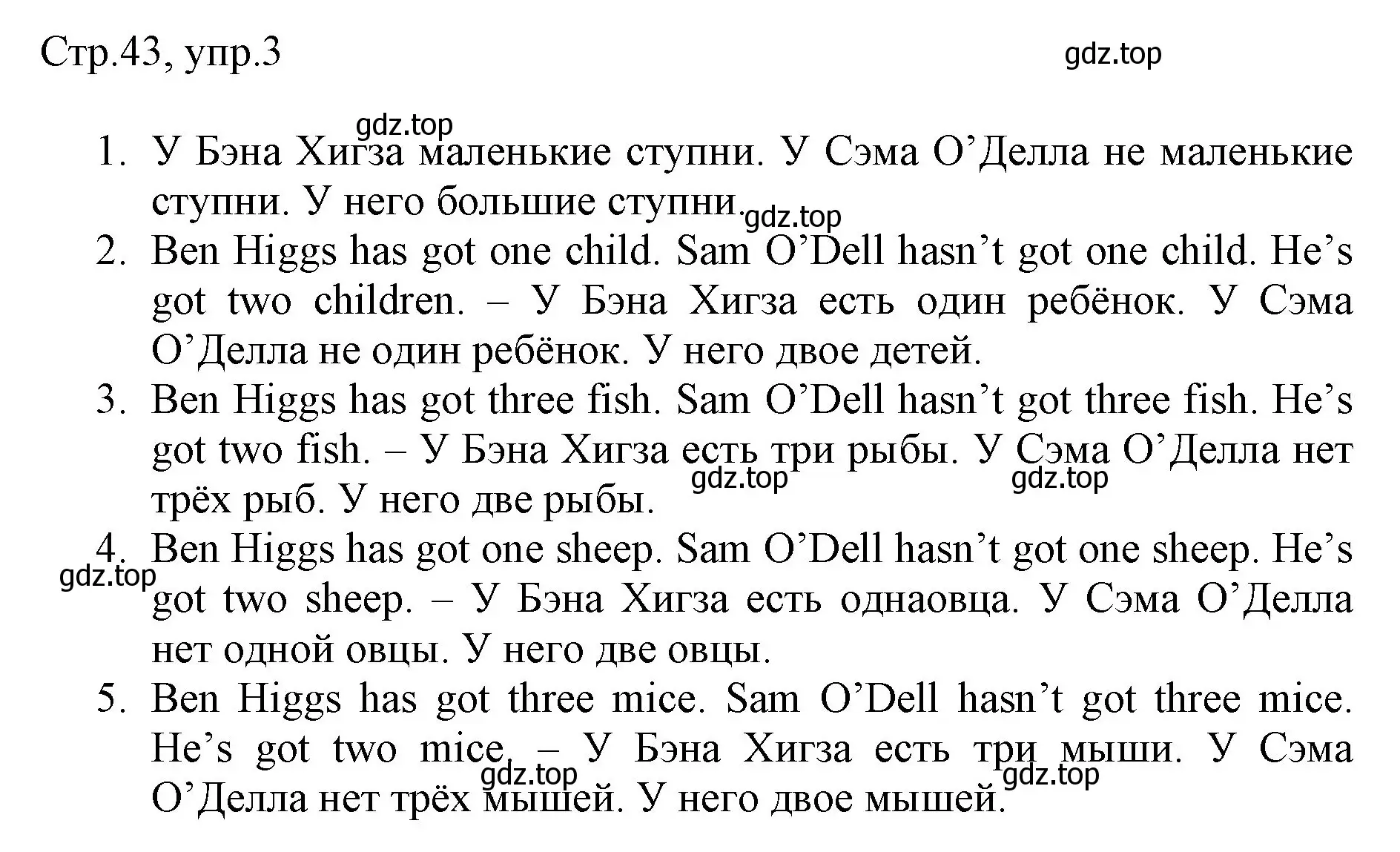 Решение номер 3 (страница 43) гдз по английскому языку 3 класс Быкова, Дули, рабочая тетрадь