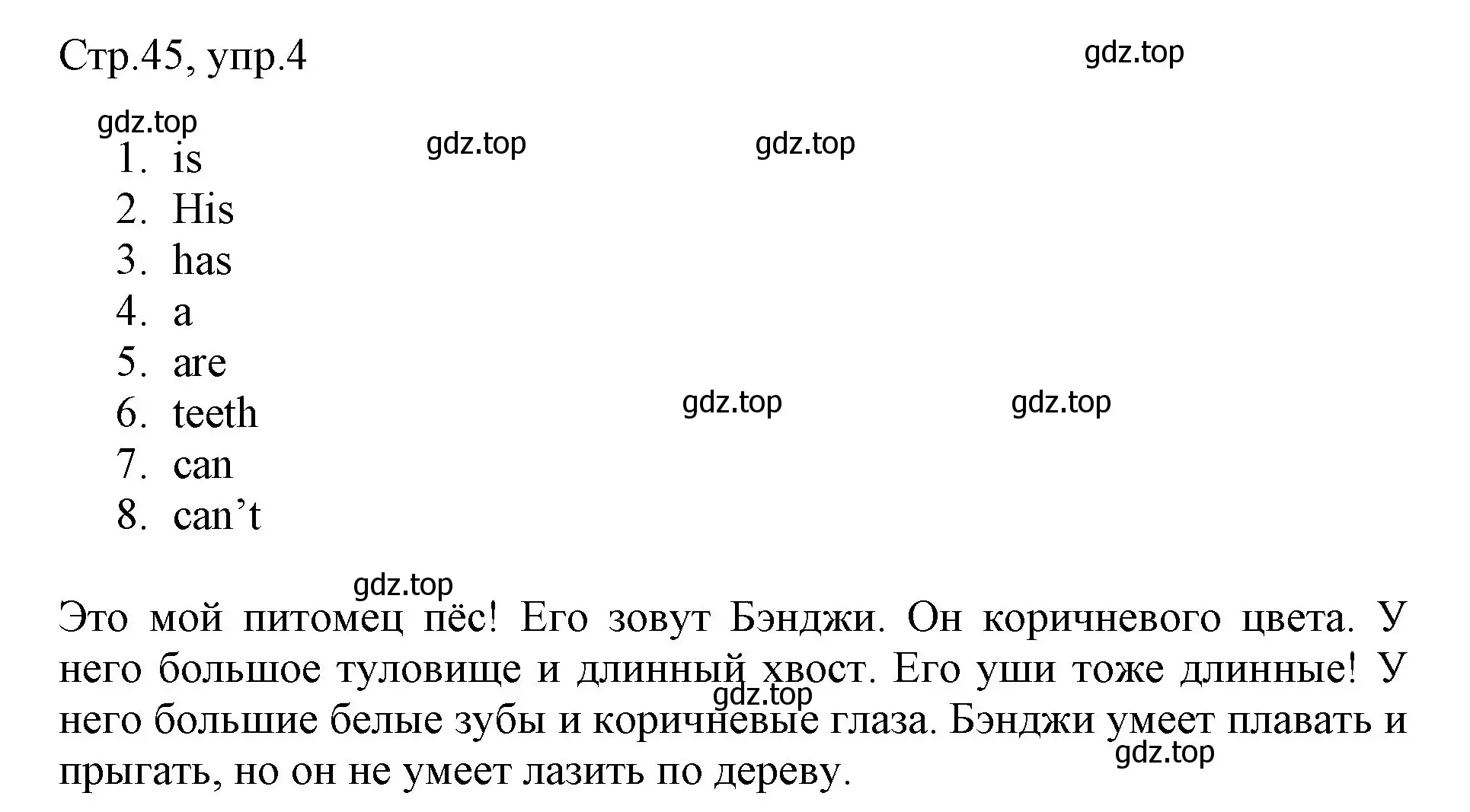 Решение номер 4 (страница 45) гдз по английскому языку 3 класс Быкова, Дули, рабочая тетрадь