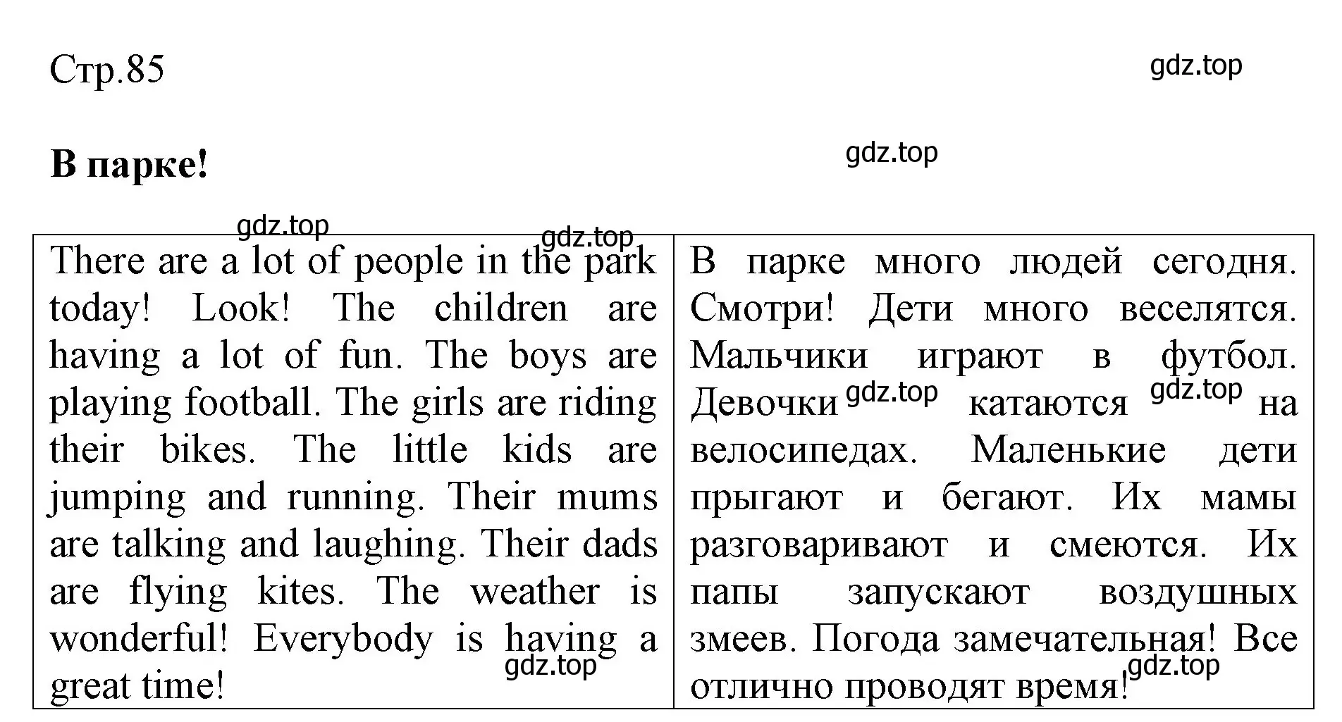 Решение  In the park! (страница 85) гдз по английскому языку 3 класс Быкова, Дули, рабочая тетрадь